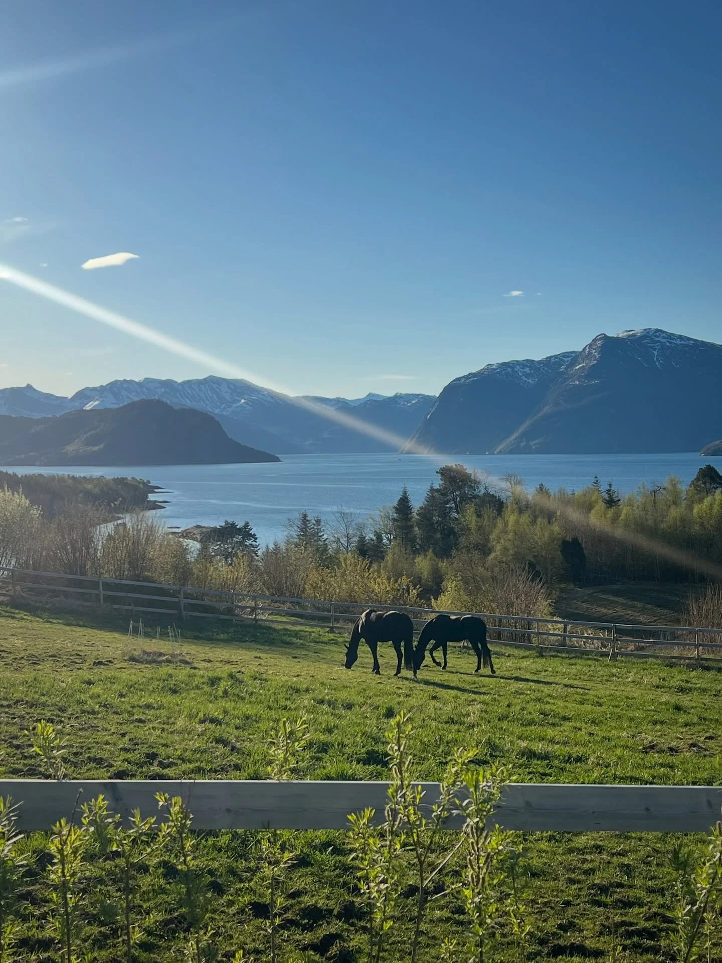 N&aring; ligger en ny episode av Fredagsklubben ute.
Som alltid &ndash; en prat om livet, det som r&oslash;rer seg, og det som gir oss litt mer &aring; tenke p&aring;.

Du finner den p&aring; ialesund.no.
God helg 🤍

From here at the farm, we wish y