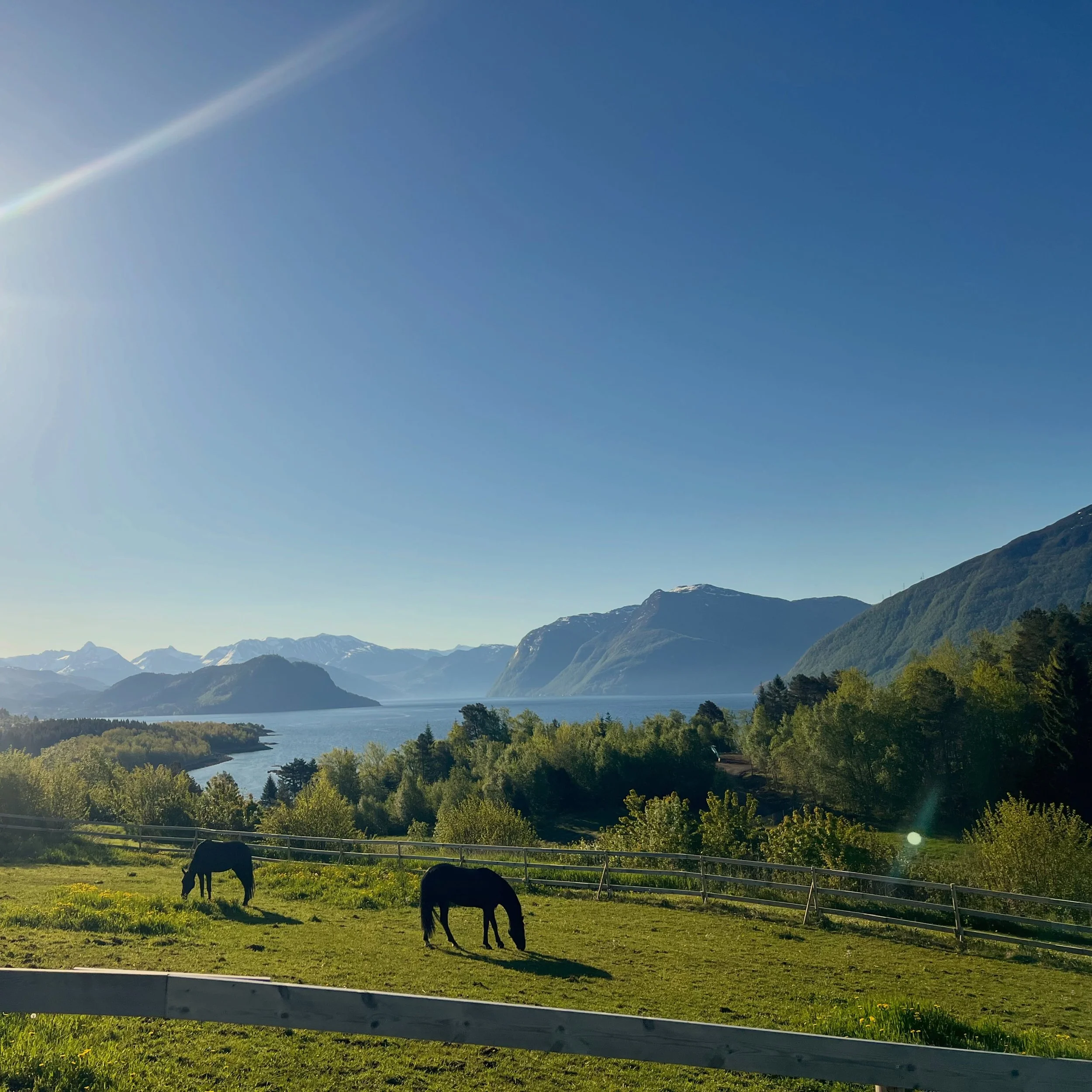 We&rsquo;ve had the most beautiful weather leading up to our wedding week, with long sunny evenings over the fjord and the horses grazing quietly below the house.
So of course it suddenly looks a little dramatic in the forecast for Saturday. But fjor