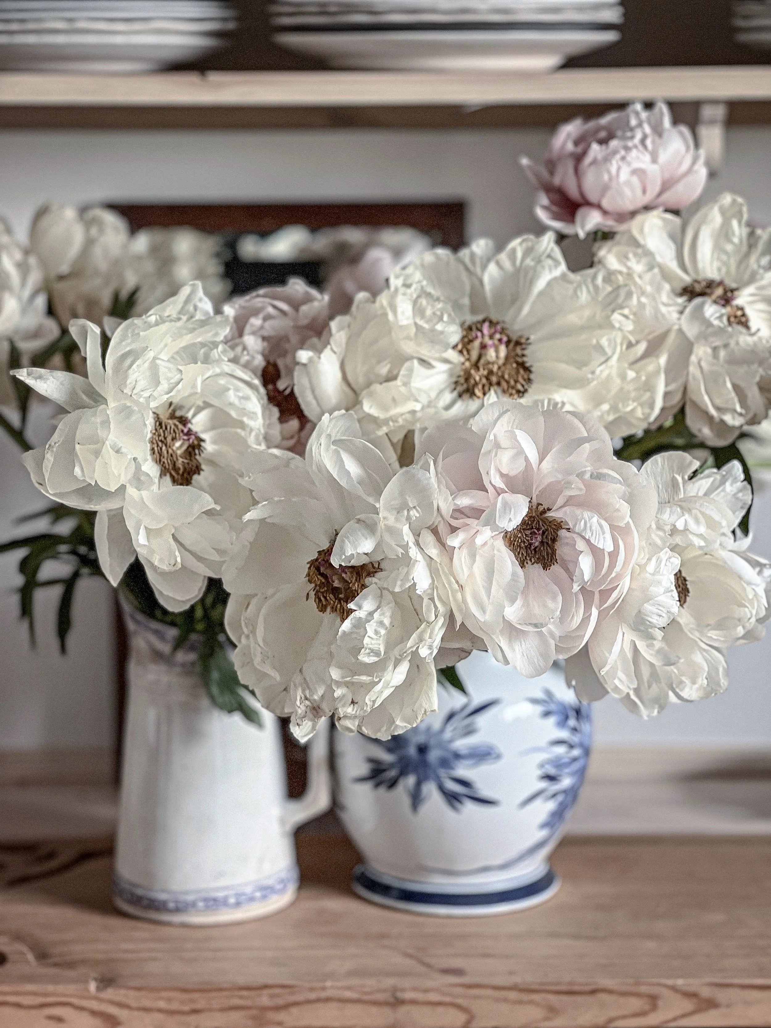 Som sm&aring; skyer av silke og sommer
&Aring;rets f&oslash;rste pioner har flyttet inn
&bull;
Like little clouds of silk and summer.
The first peonies of the year have arrived, filling the house with their quiet beauty and reminding me that summer i