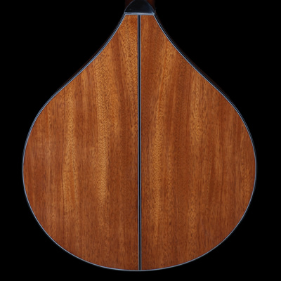 2wood_18_mahogany.jpg