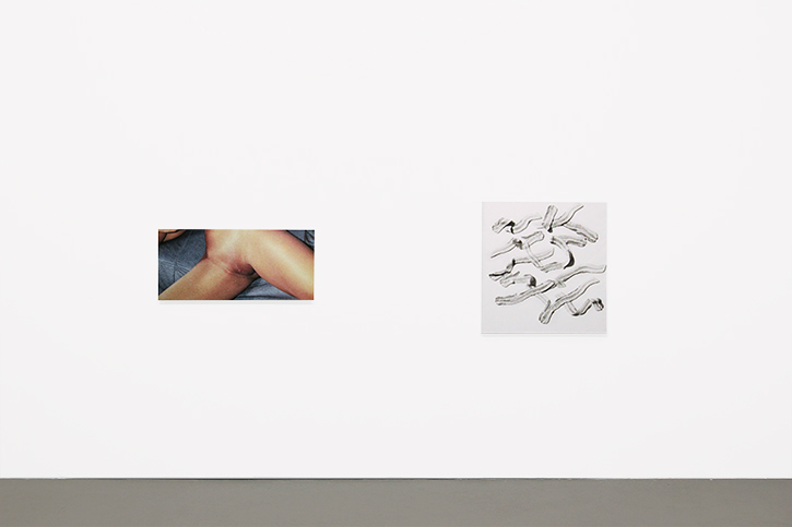  PIPER BRETT: The Subject.The Glitter., 2011 - LAYET JOHNSON: Painting, 2013 
