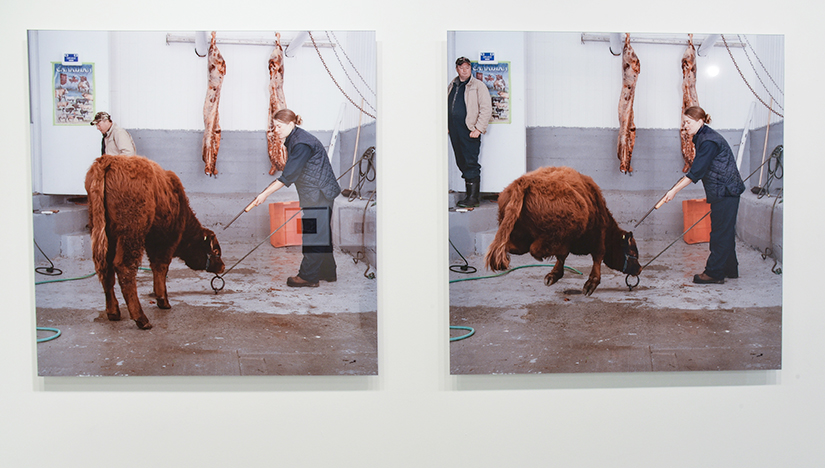  KIM WALDRON: Before and After (image one and two), 2010 Inkjet print 