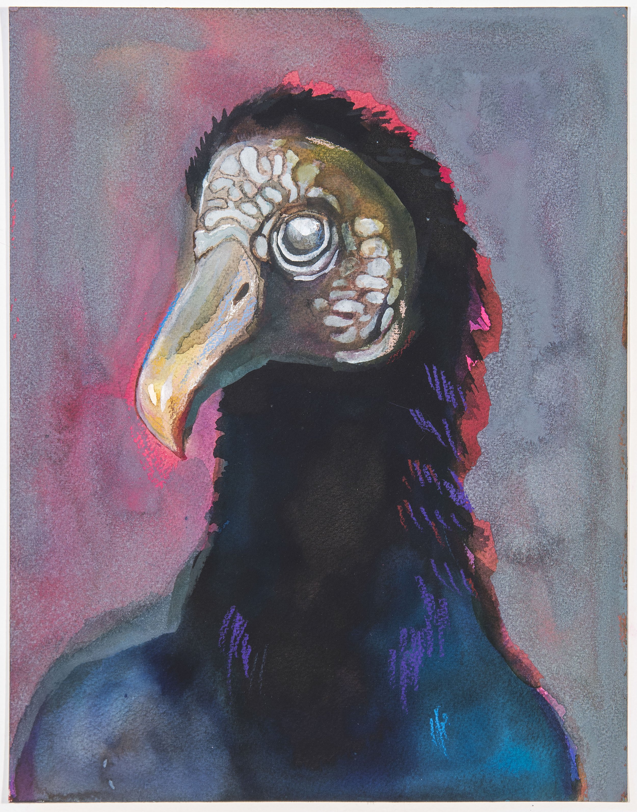   Karsen Heagle ,  Untitled Vulture (black/rose) , 2021, watercolor, colored pencil, acrylic on paper, 14 x 11" 