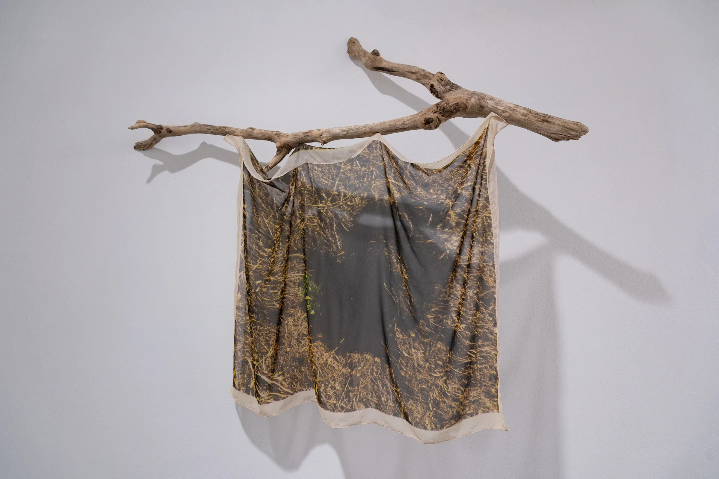 ANNA IALEGGIO-HOLE FOLDS-Chanel Matsunami Photo- Web Size-3.jpg