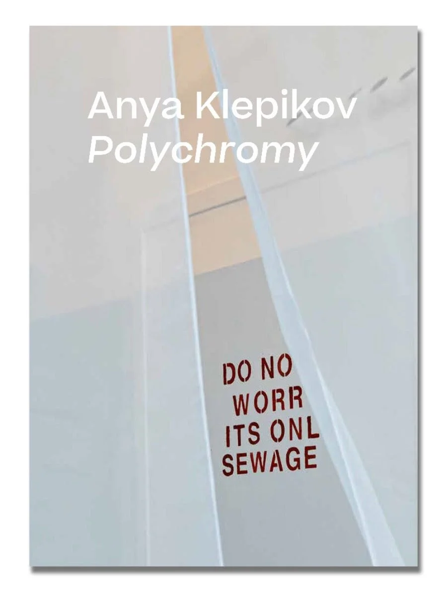 Anya_Klepikov_catalog_cover.jpg