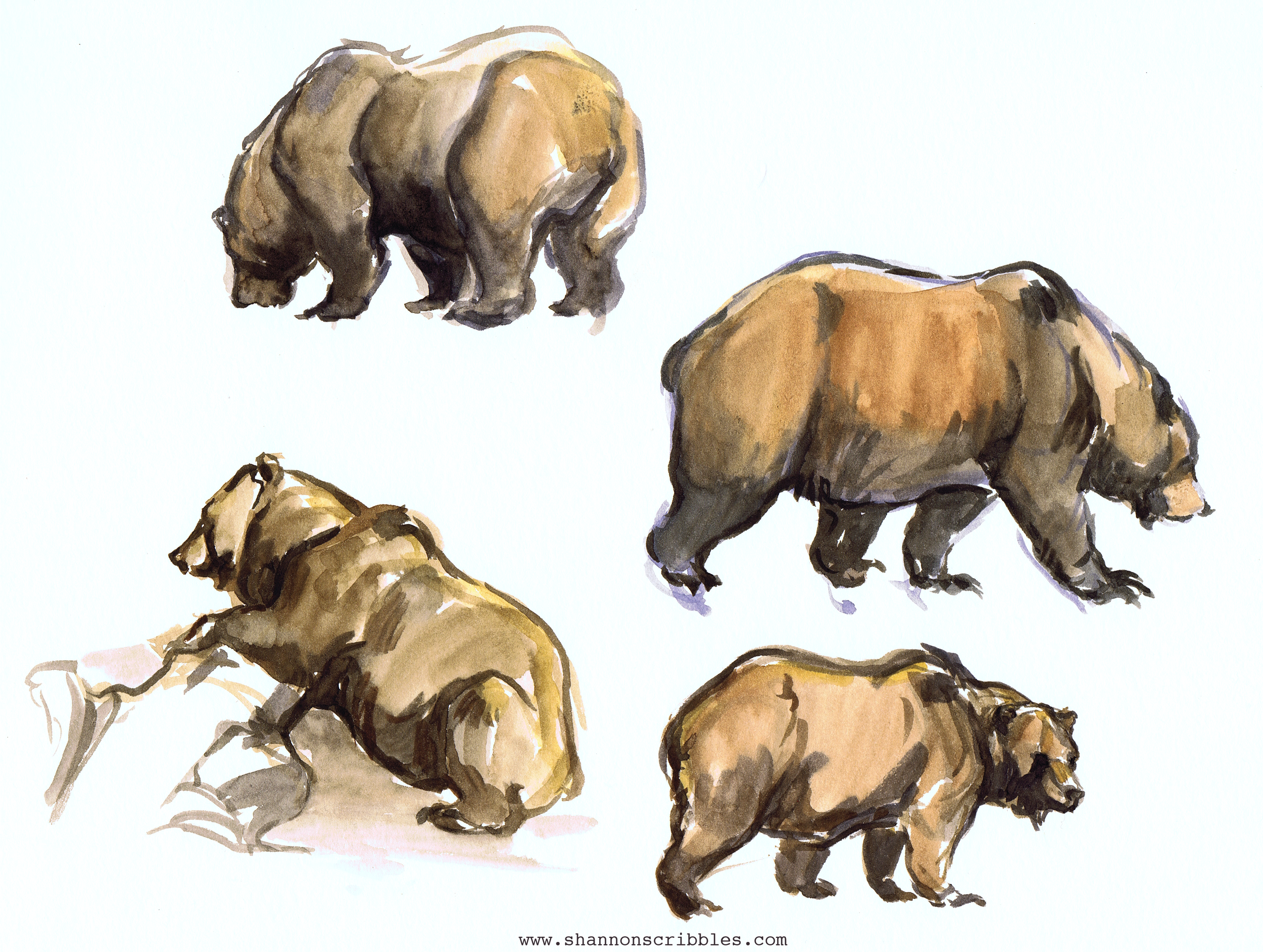 Zoo-Sketches_Oct.14-2016-3.png