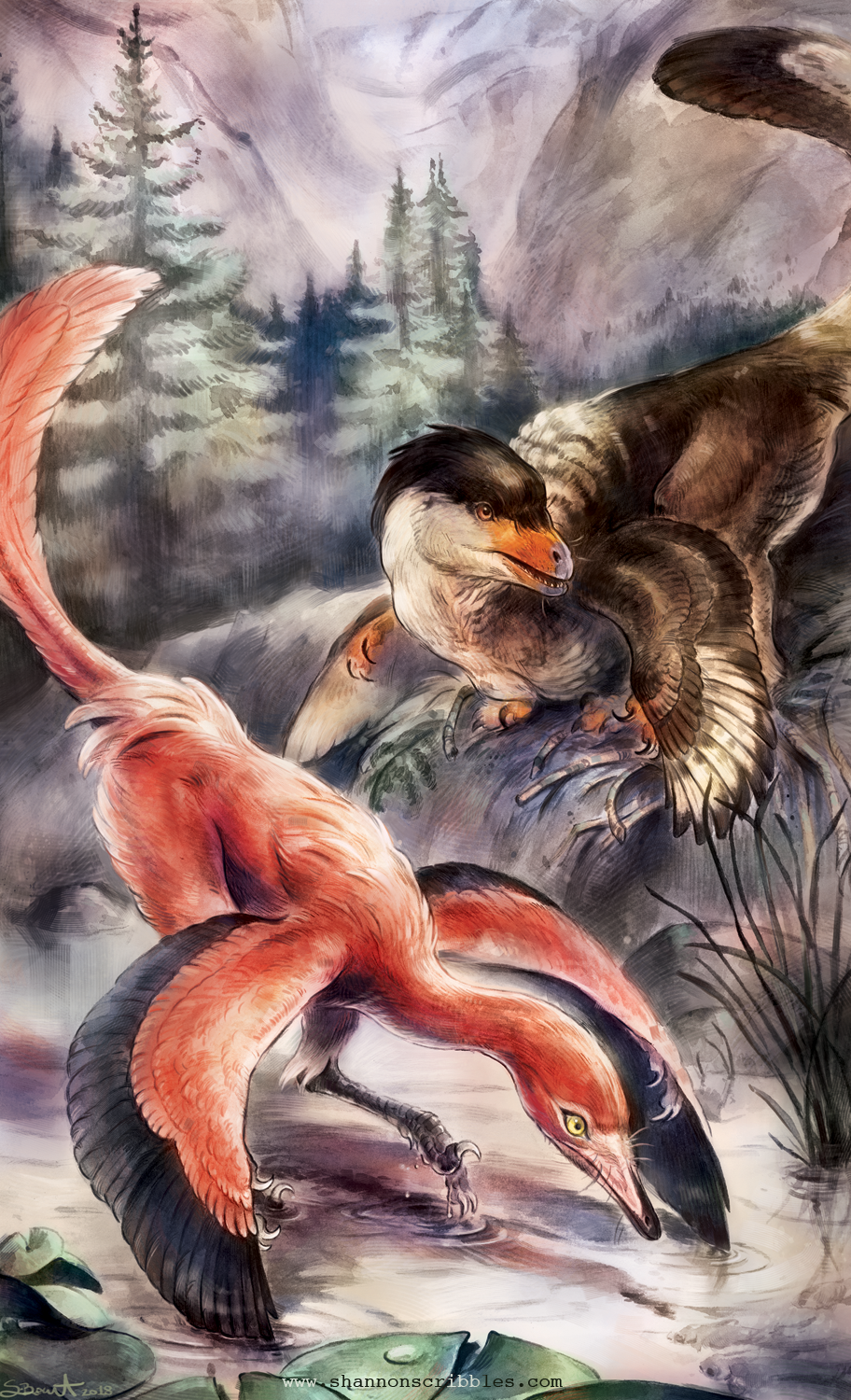 Beasts of the Mesozoic - Stenonychosaurus (Troodon) & Buitreraptor
