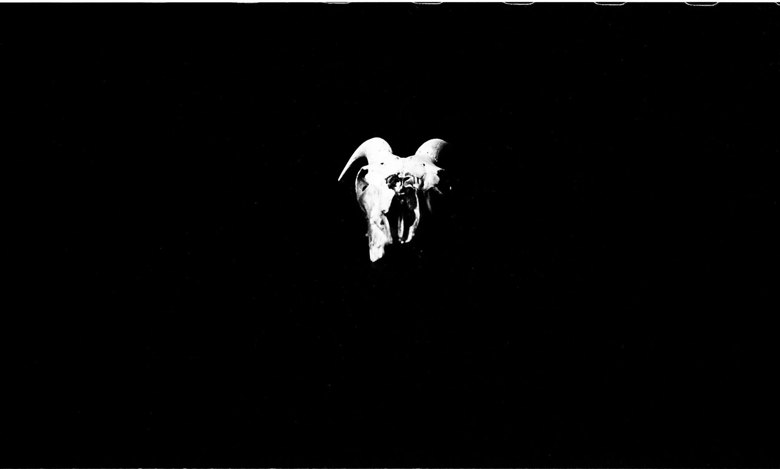 self potriats006.jpg