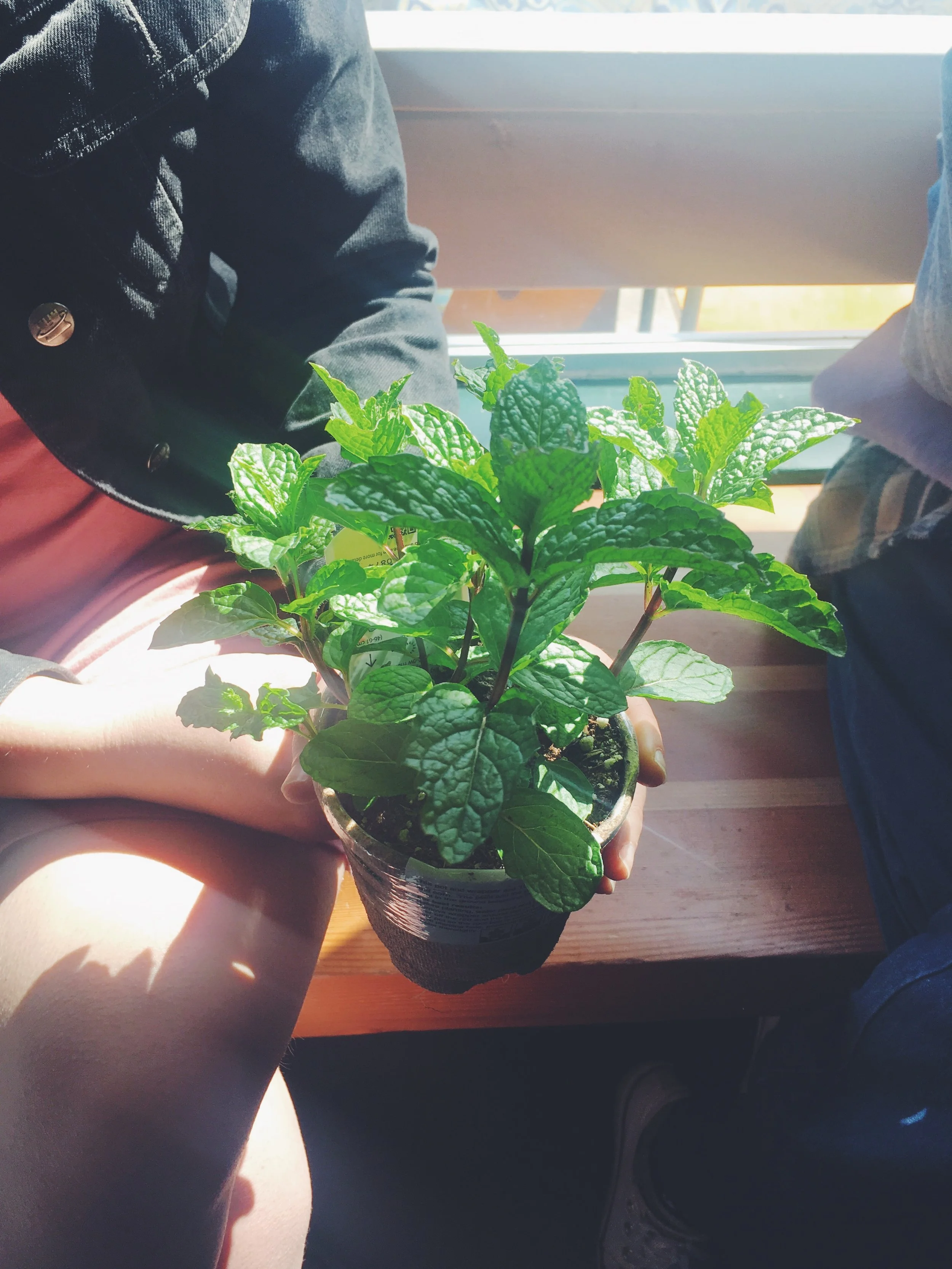 $6866 Raised on Earth Day 2018