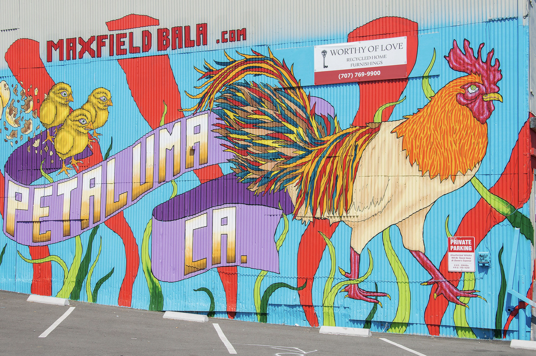 Screenshot 2025-07-31 at 7.08.42 AM.png