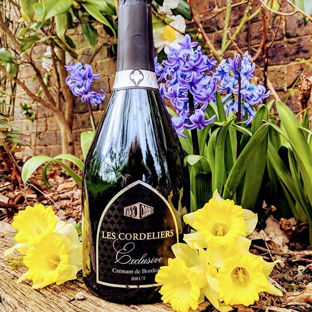 Happy Easter and bank holiday everyone! Time to crack open a wonderful fizz! ☀️🍾🥂❤️
#everyglassmatters
.
.
.
.
.
.
.
.
.
.
.
#wine #wino #winery #vino #wines #vineyard #bottle #bottleshot #drinks #drinking #food #foodie #foodandwine #wineandfood #l