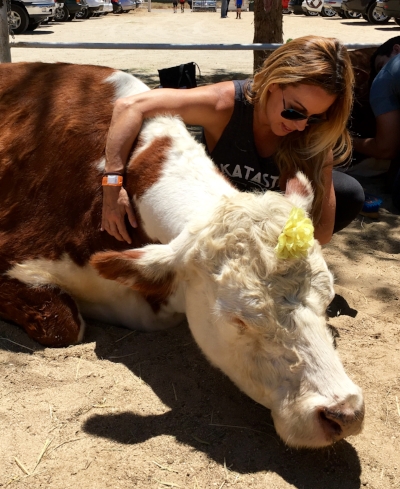 Aretha, the hugging cow saint.