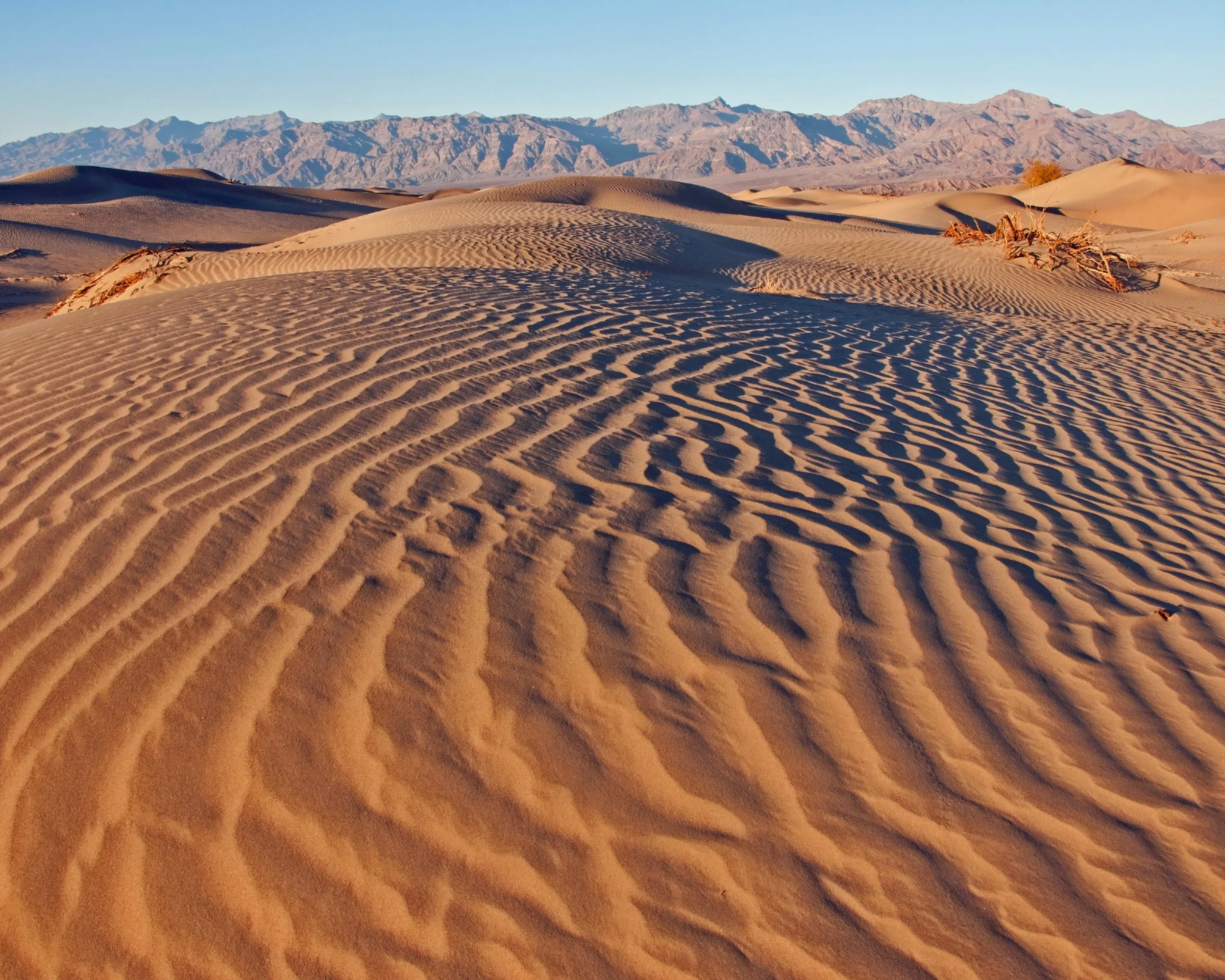 !!!dunes1.jpg