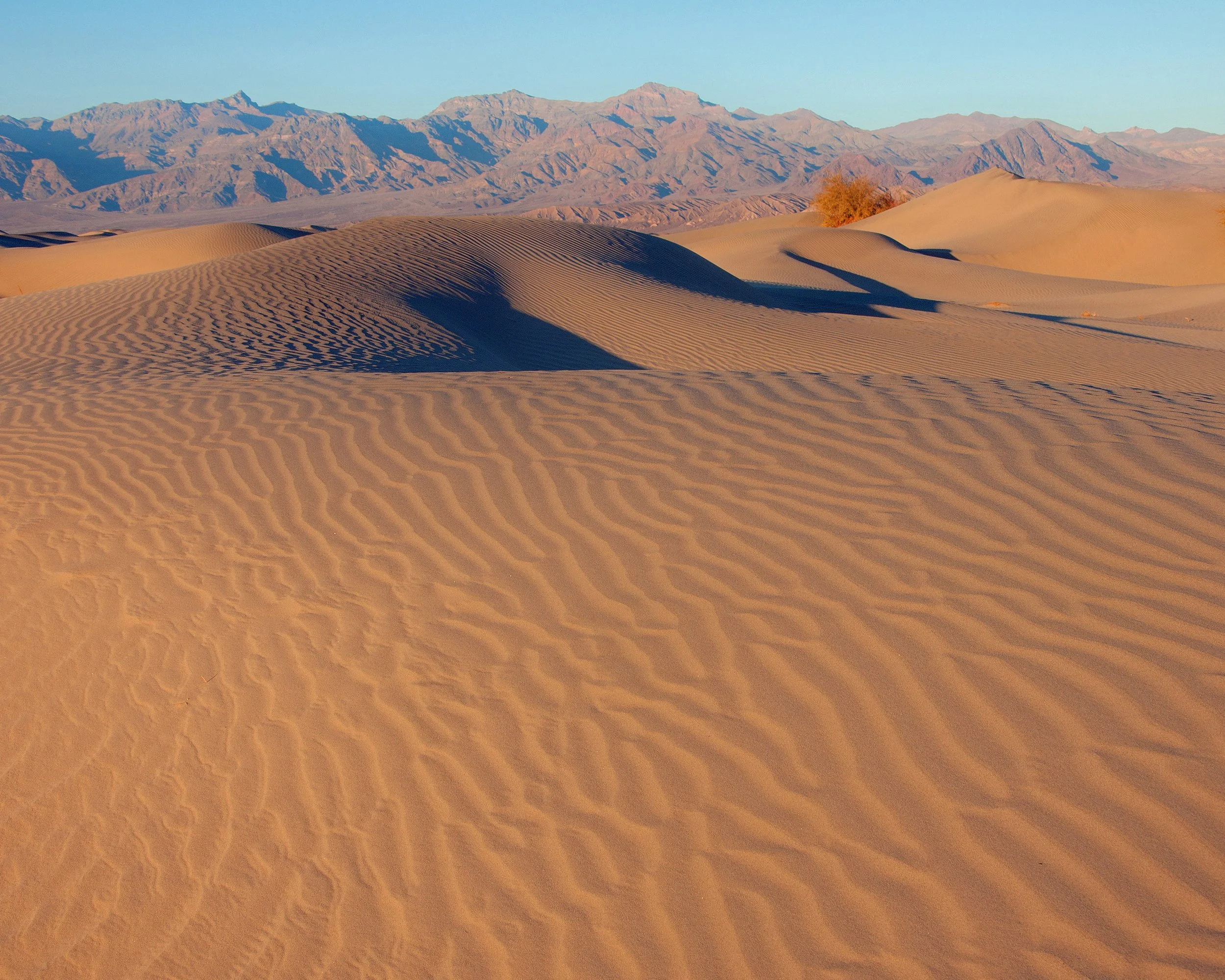 !!!dunes6.jpg