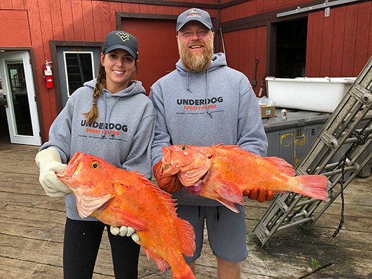 trophy-yelloweye-rockfish-southeast-alaska.jpg