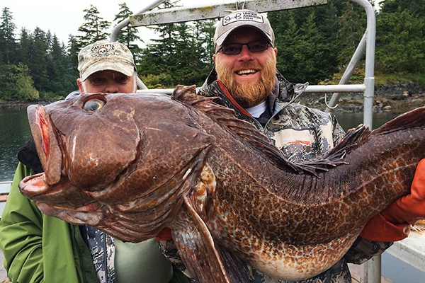 southeast-alaska-fishing-guide-with-huge-lingcod.jpg