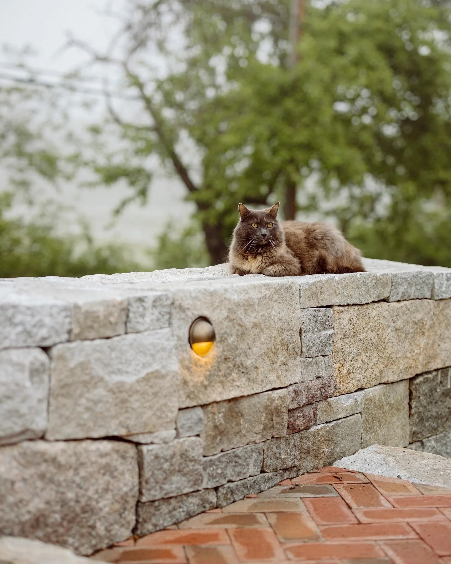 Happy Monday! 
January blog post helped just in time , but even more exciting, I overhauled this website last week and I am so excited to share it with you! In addition to adding new landscapes to our portfolio section, I did a redesign of the overal