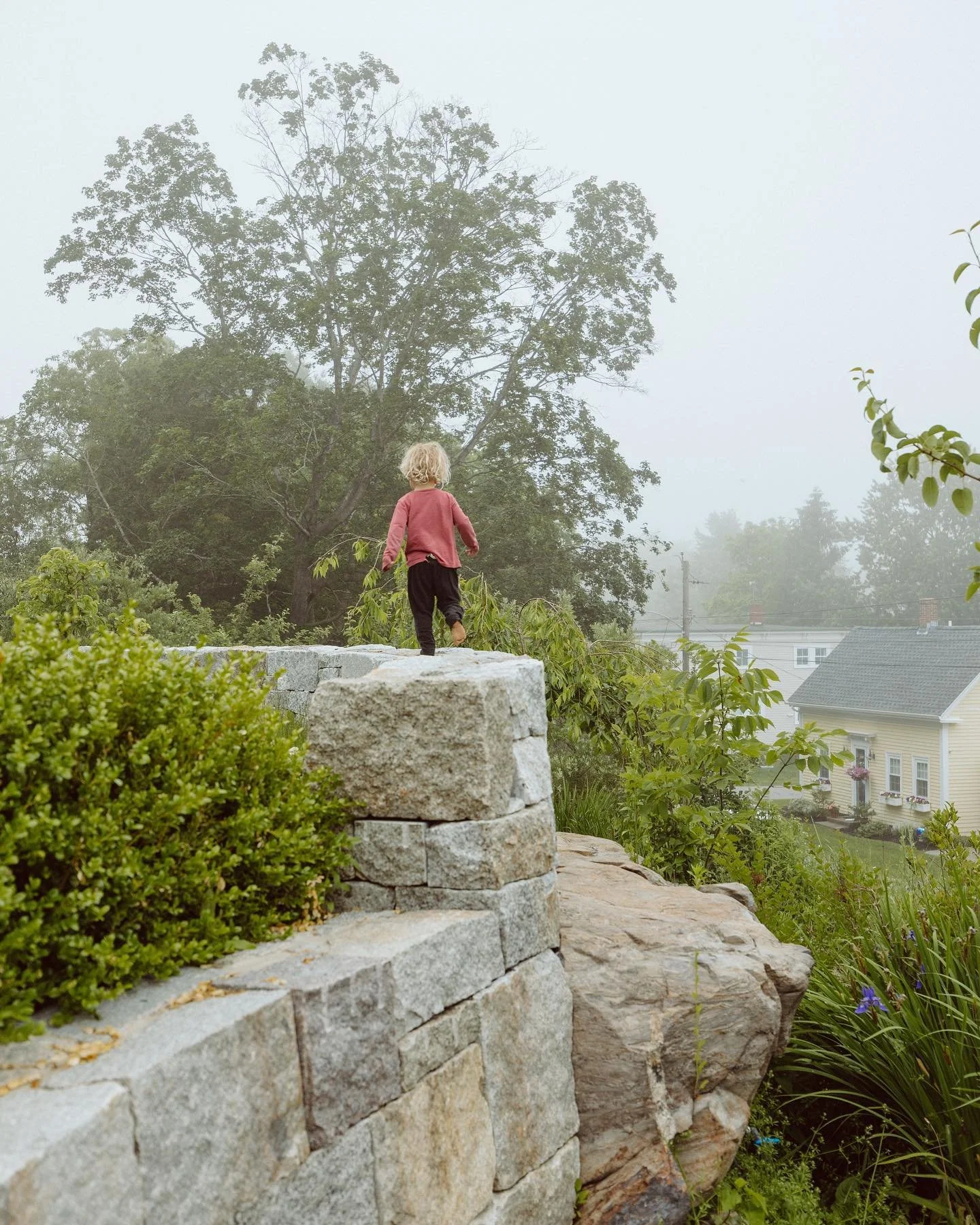 At my desk drafting this morning, armed against the cold with woolens and tea while dreaming of the summer garden with this wild side kick of mine! 
.
.
.
#modernhomesteaddesign #designandbuild #landscapedesign #stonemason #granite #stonework #essexm