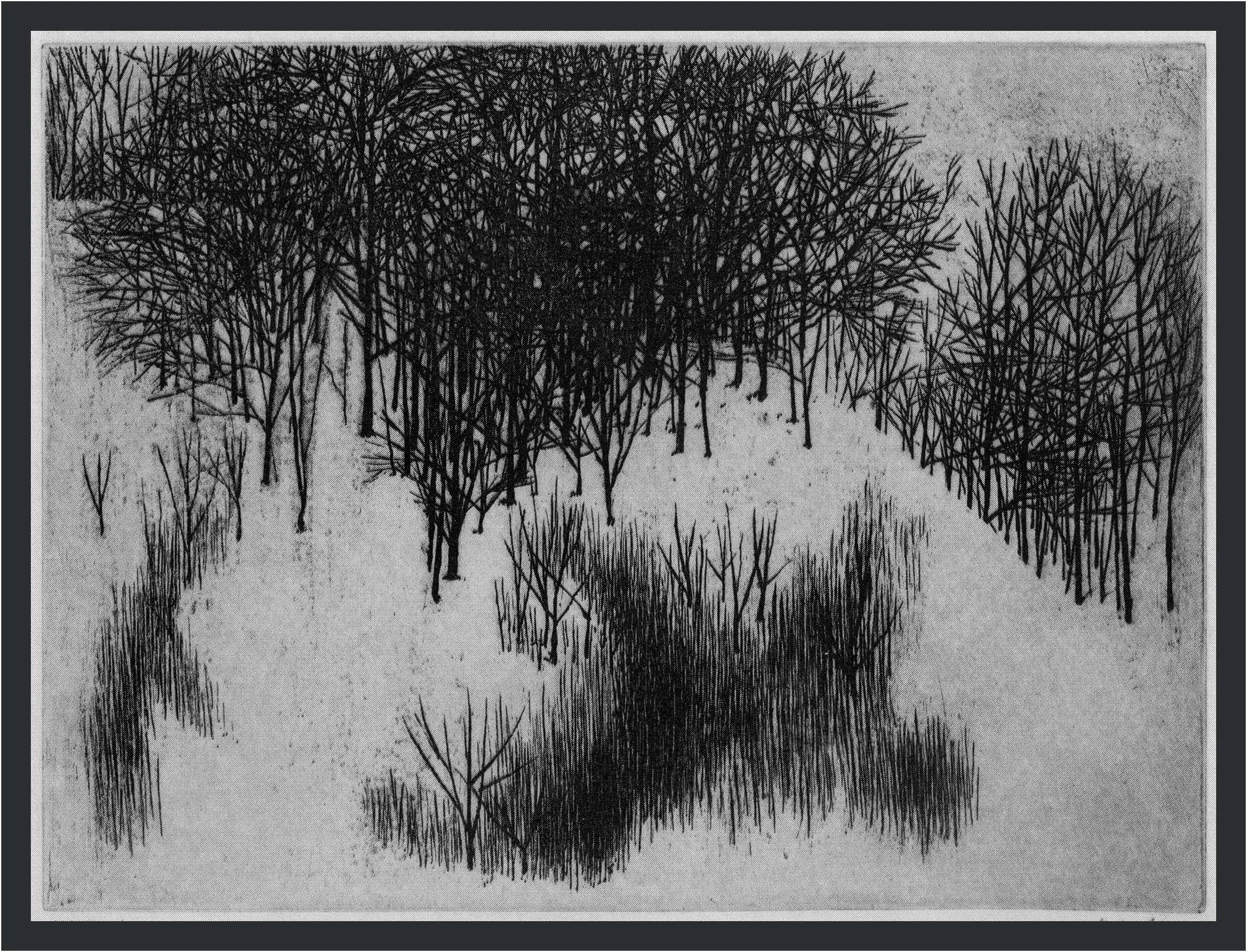 Trees and Snow, 1961