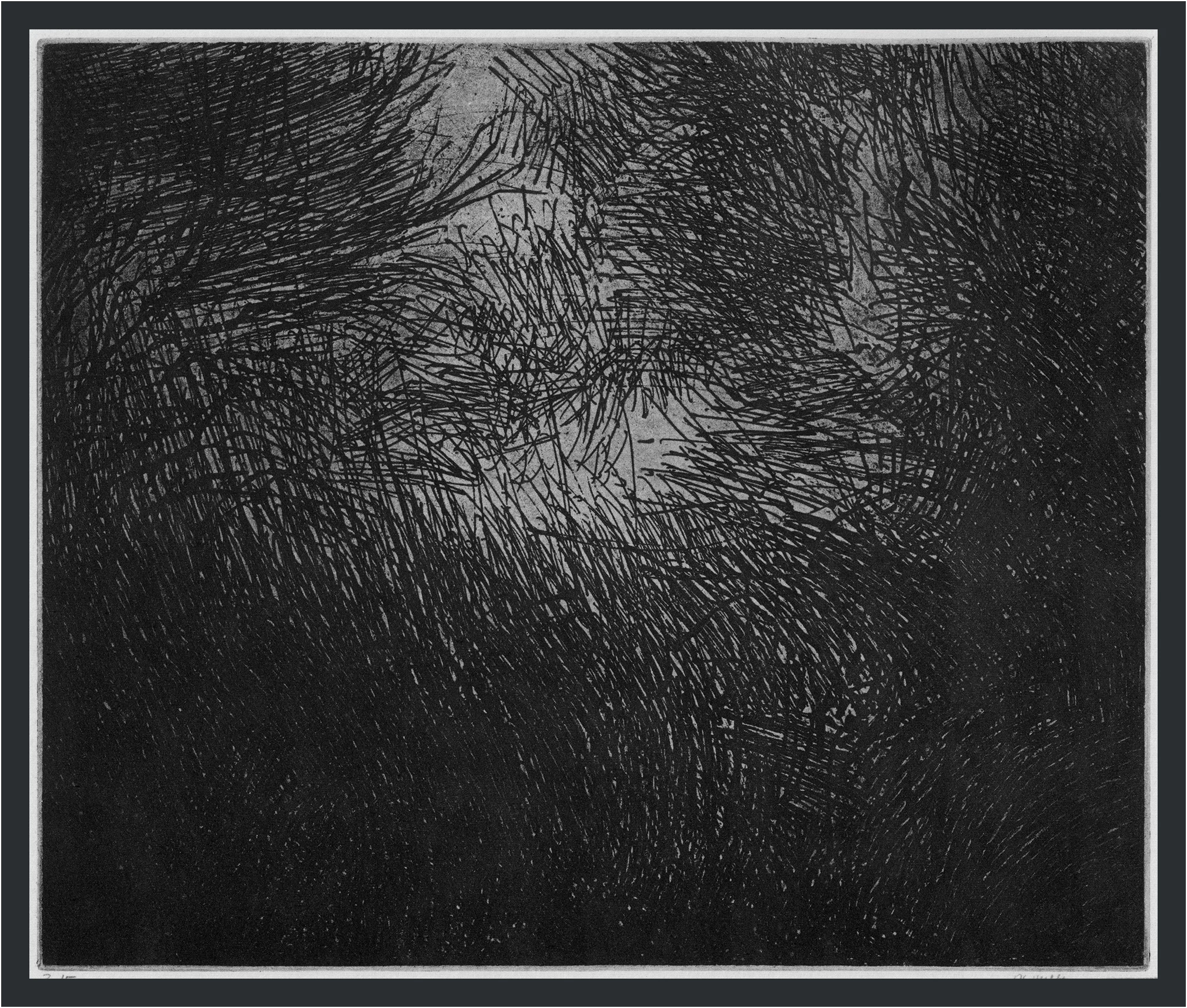 Thicket, 1962