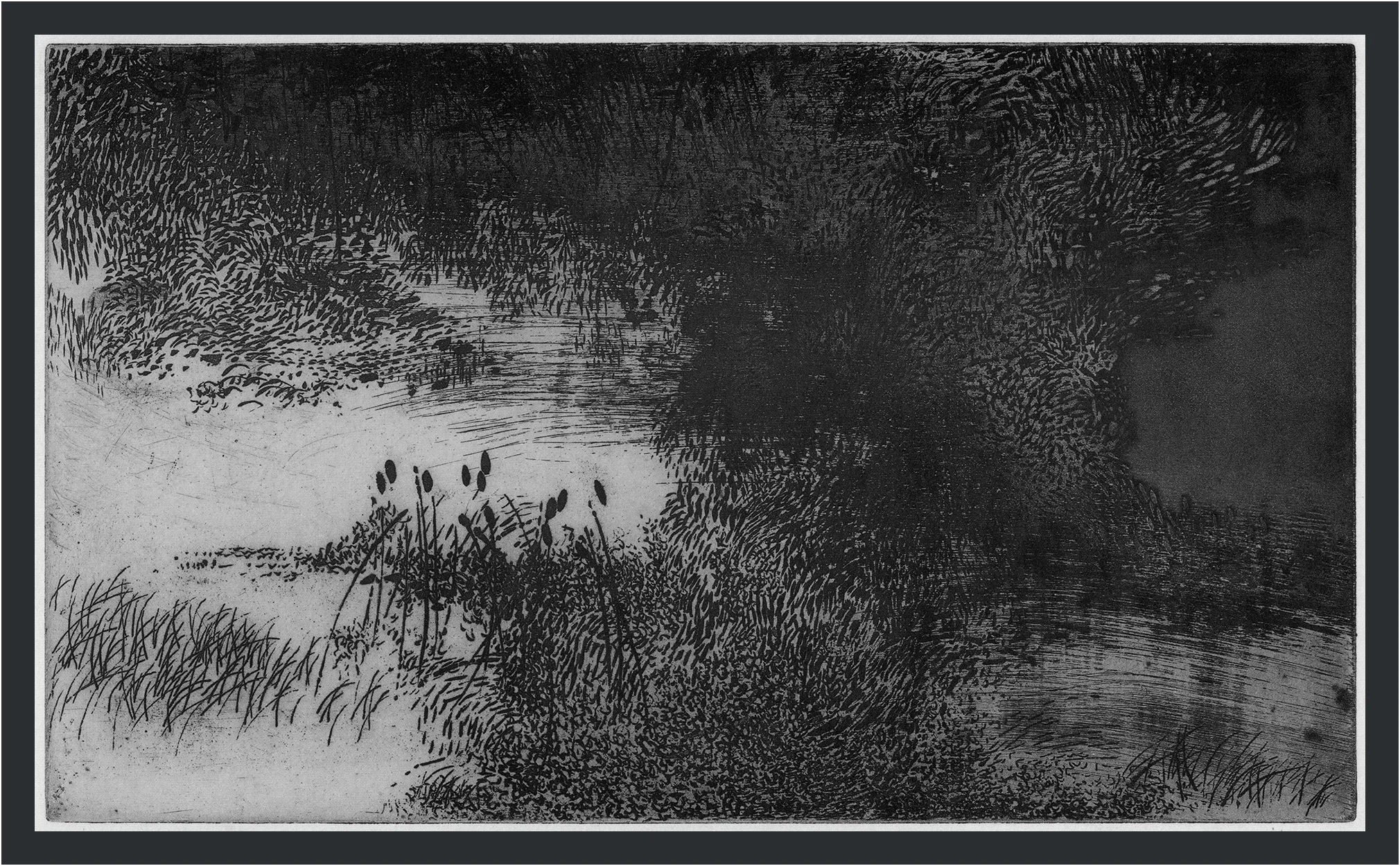 Marshland, 1962