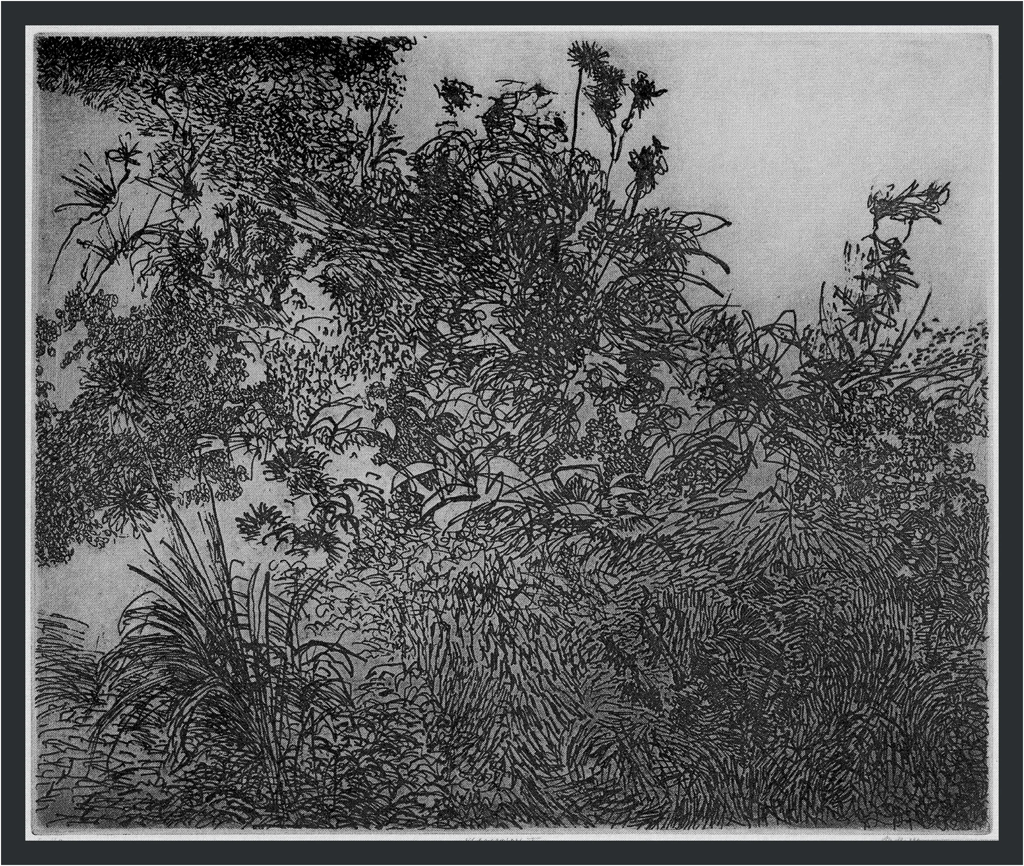 Vegetation I, 1962