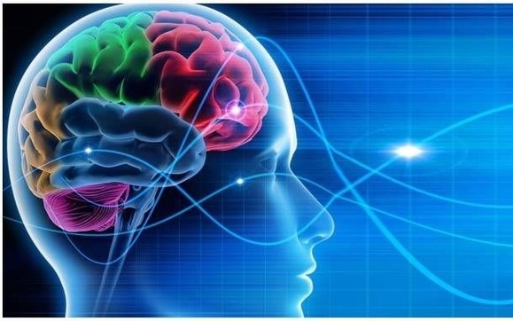 neurofeedback.jpg