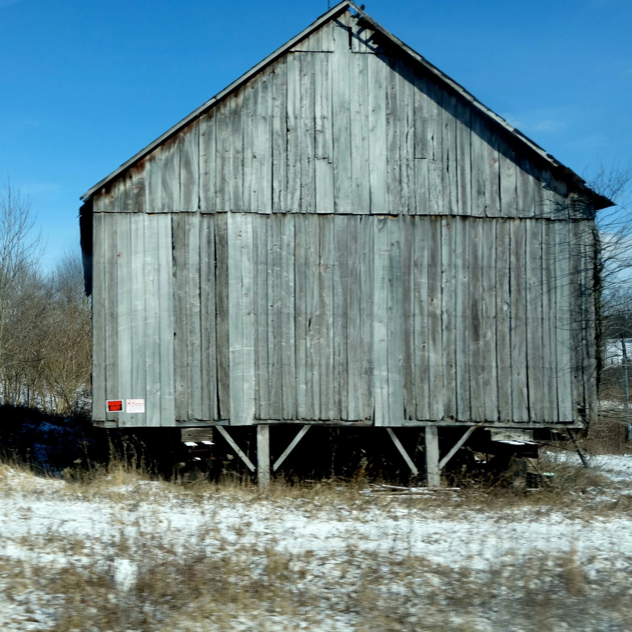 MSG-D01033.jpg