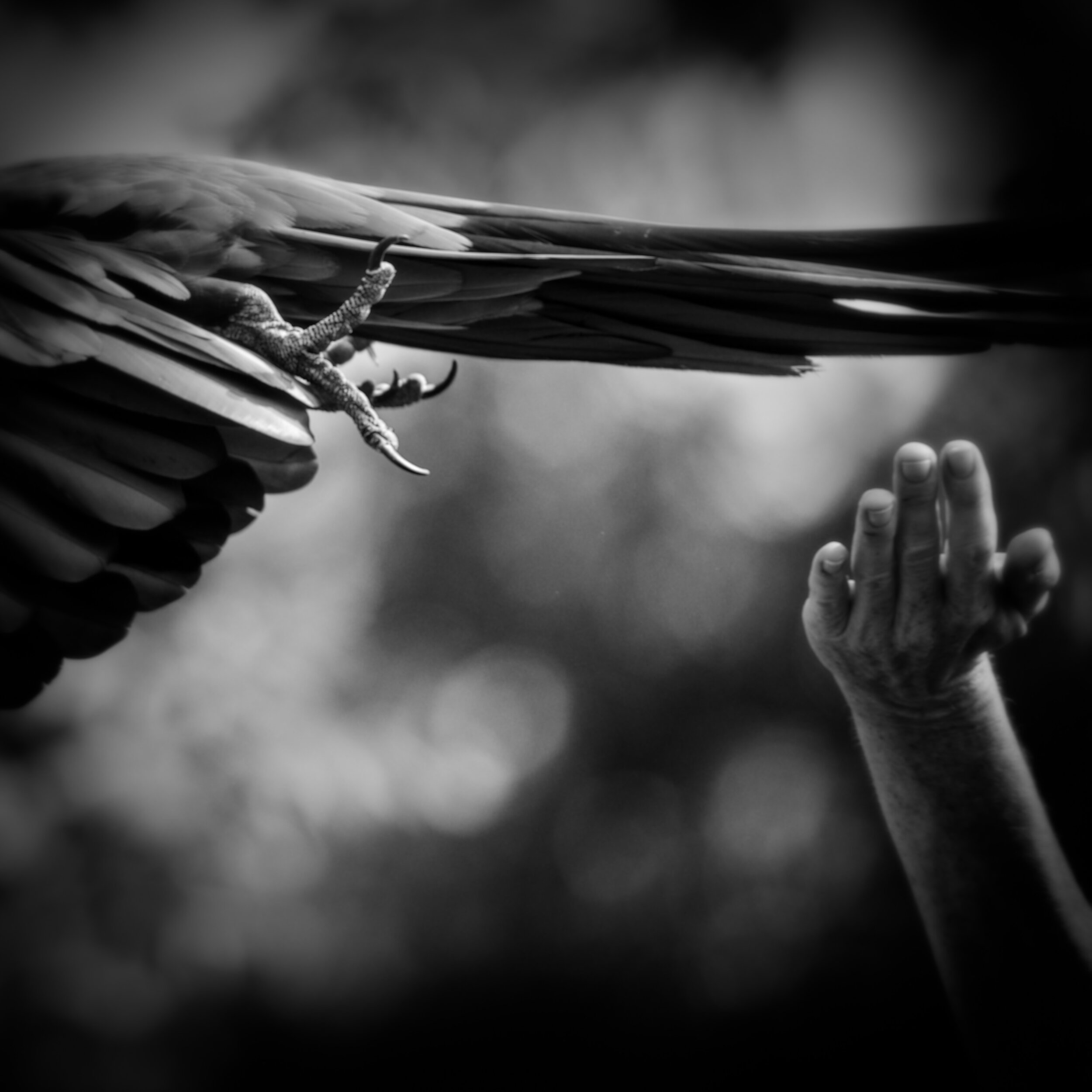 Release