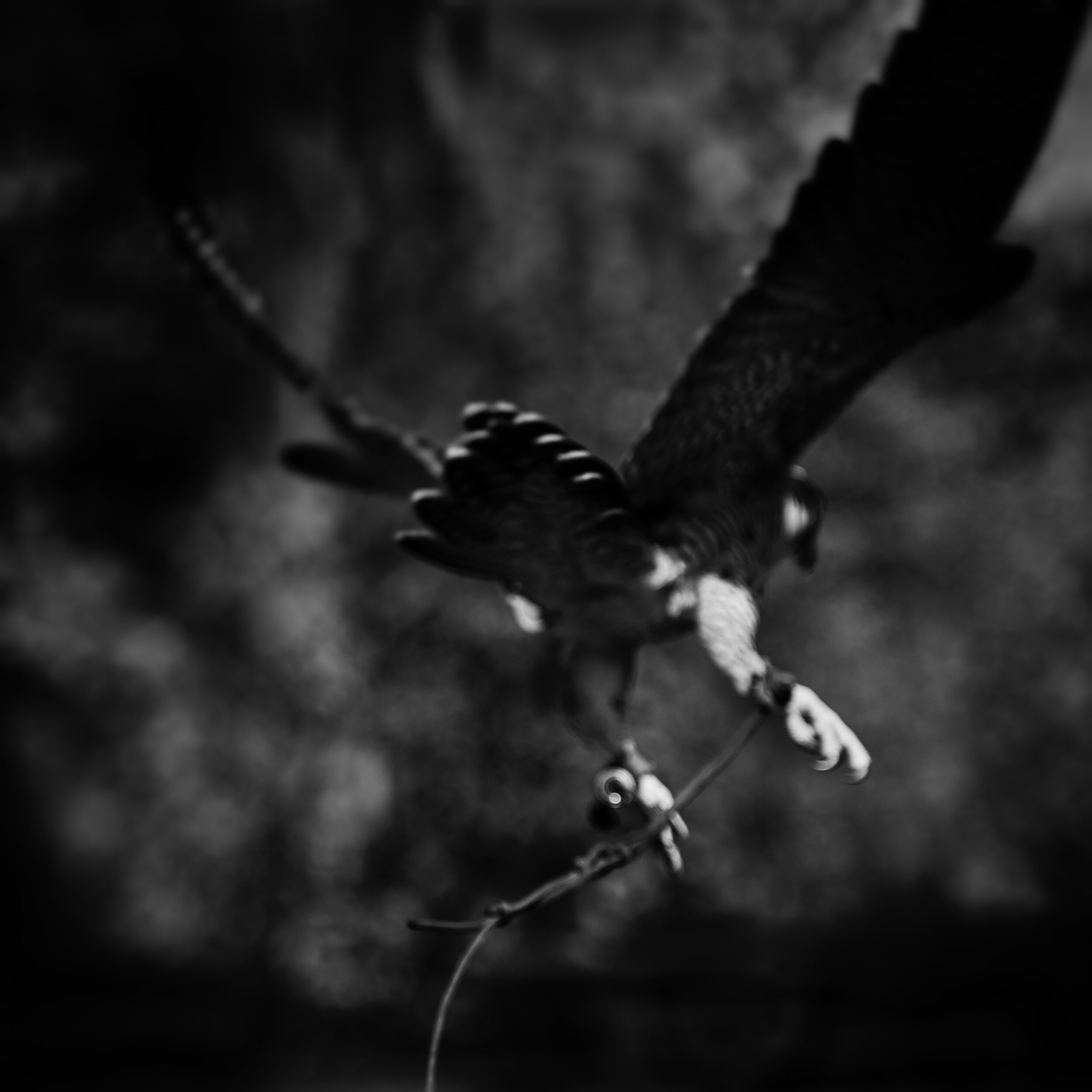 Tethered
