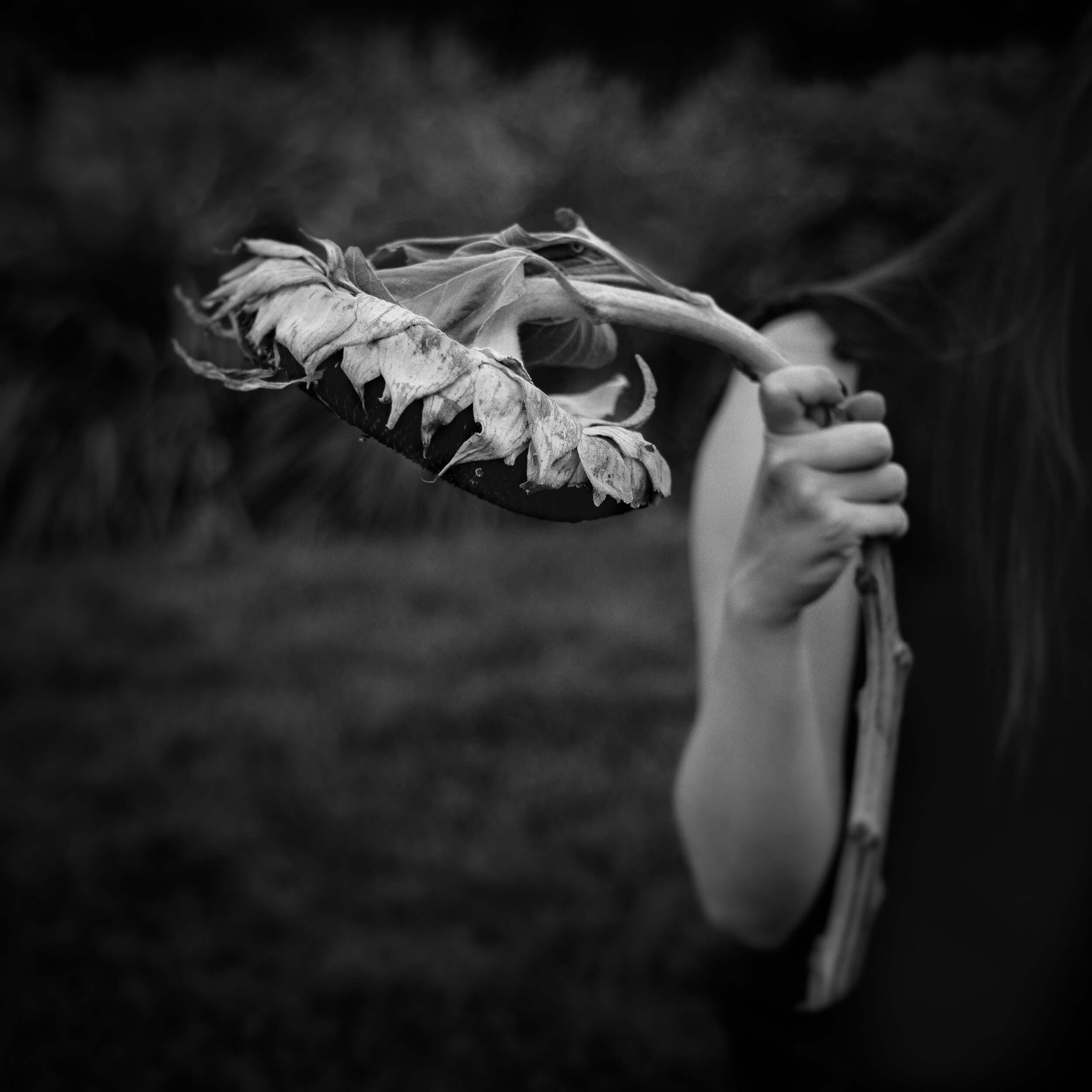 Stalk
