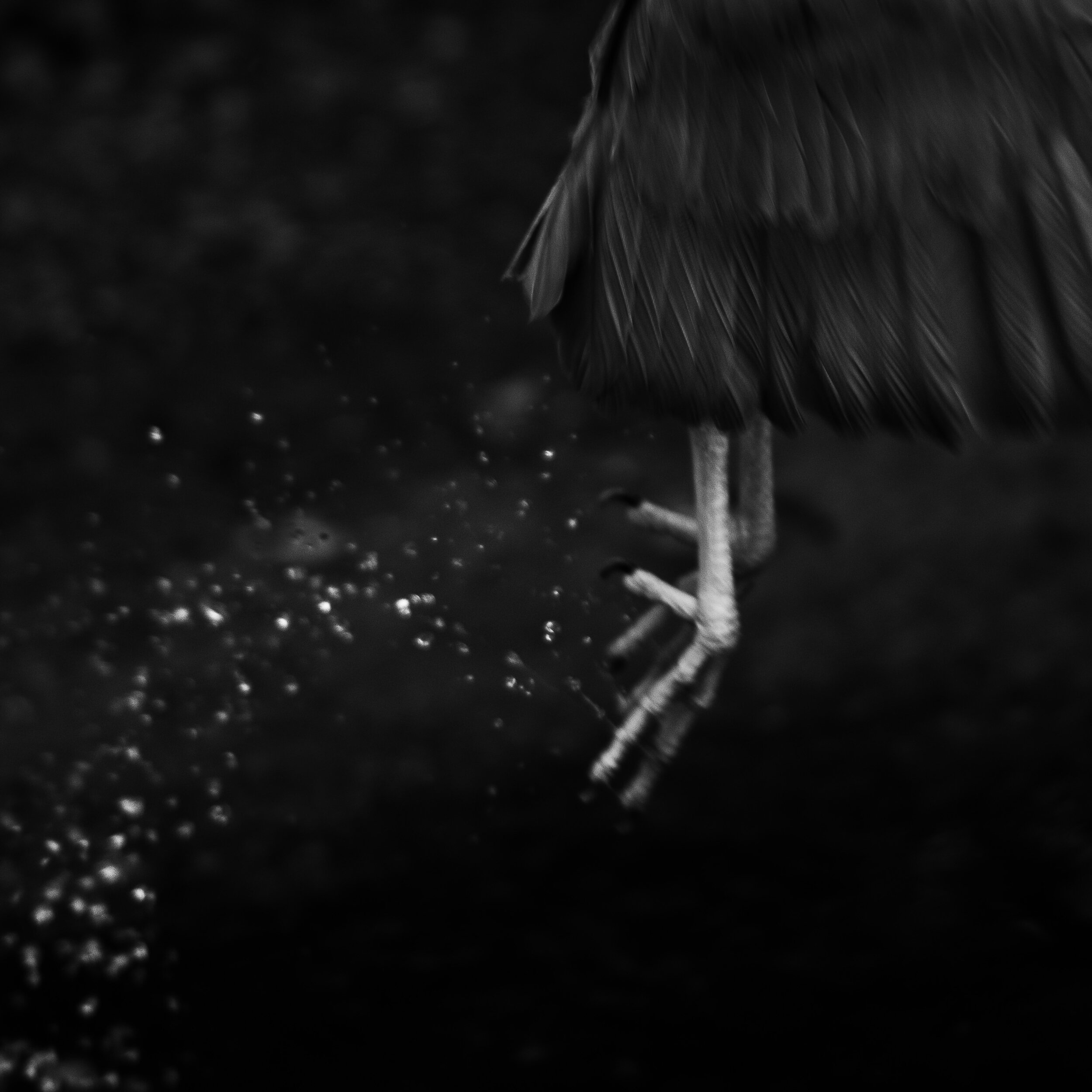 Flight