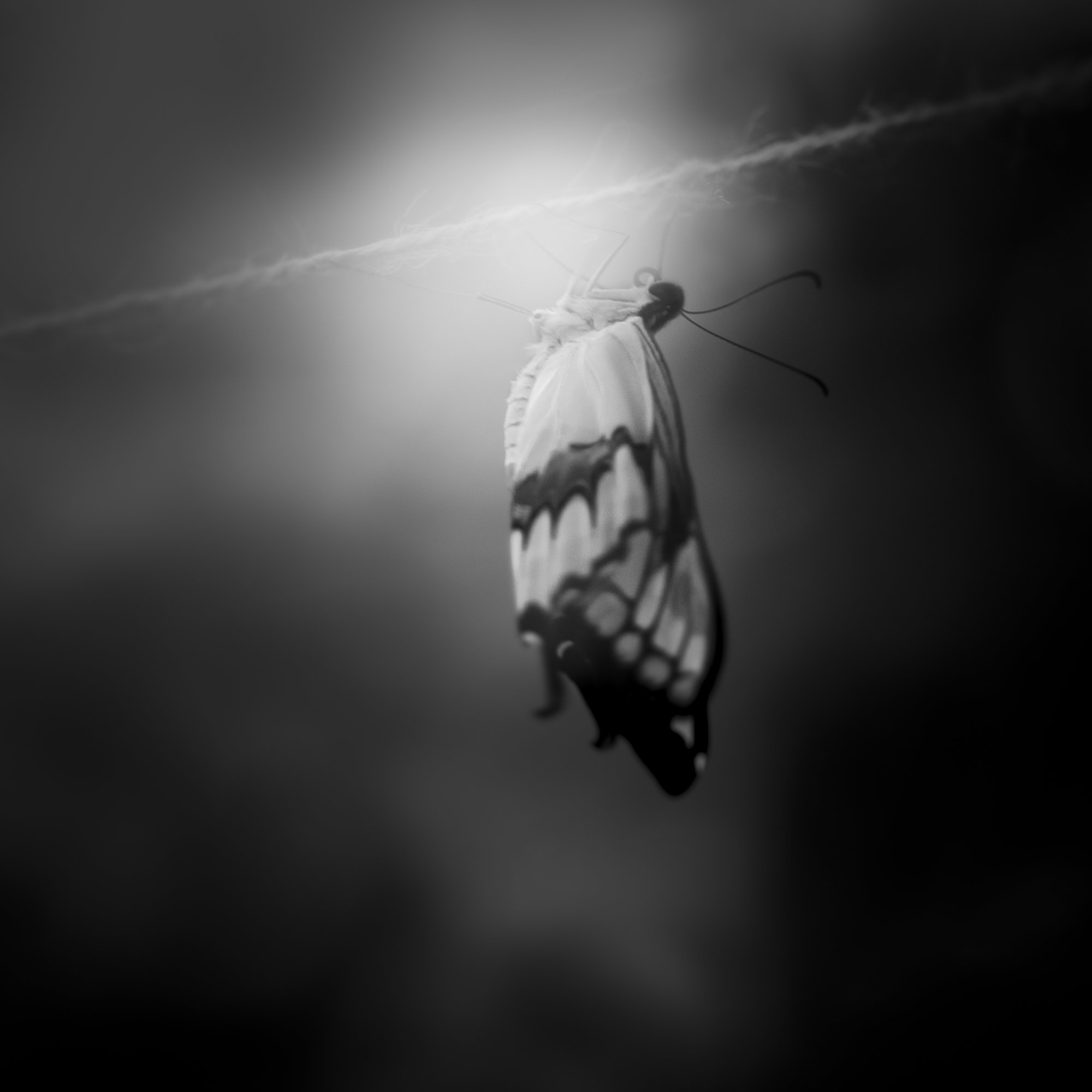 untitled2.jpg