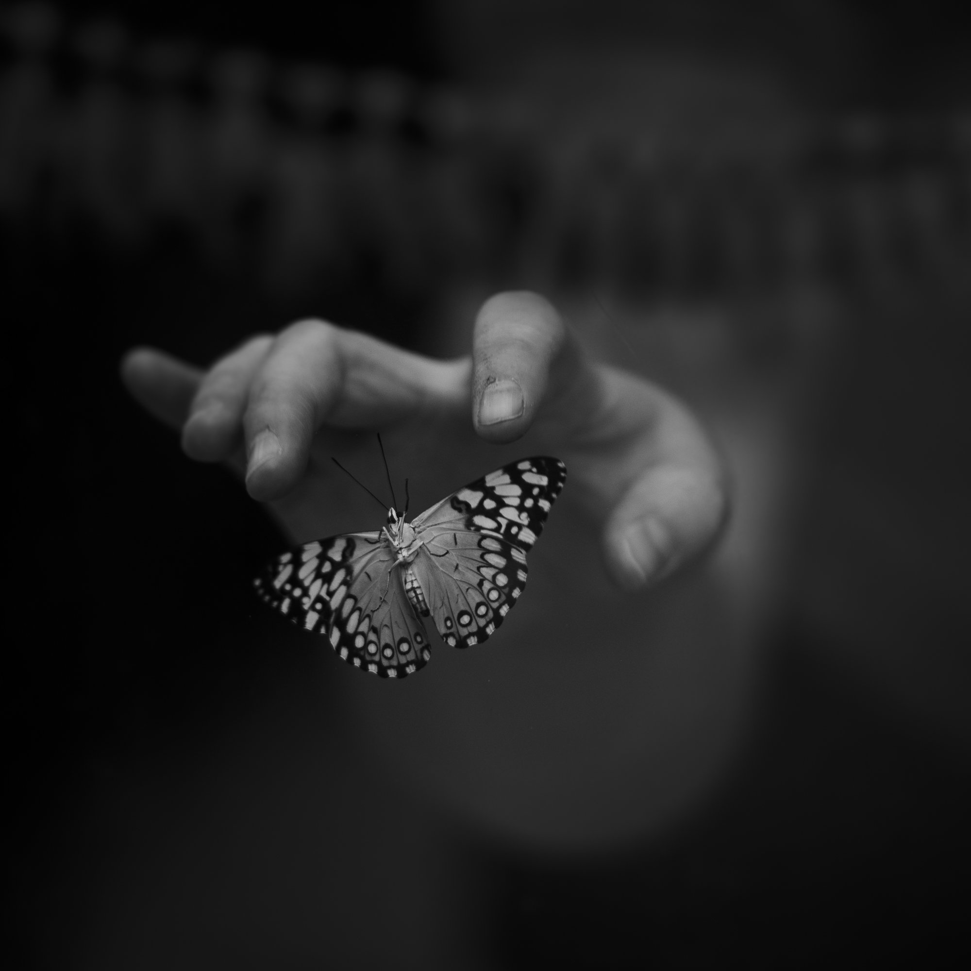 untitled4.jpg