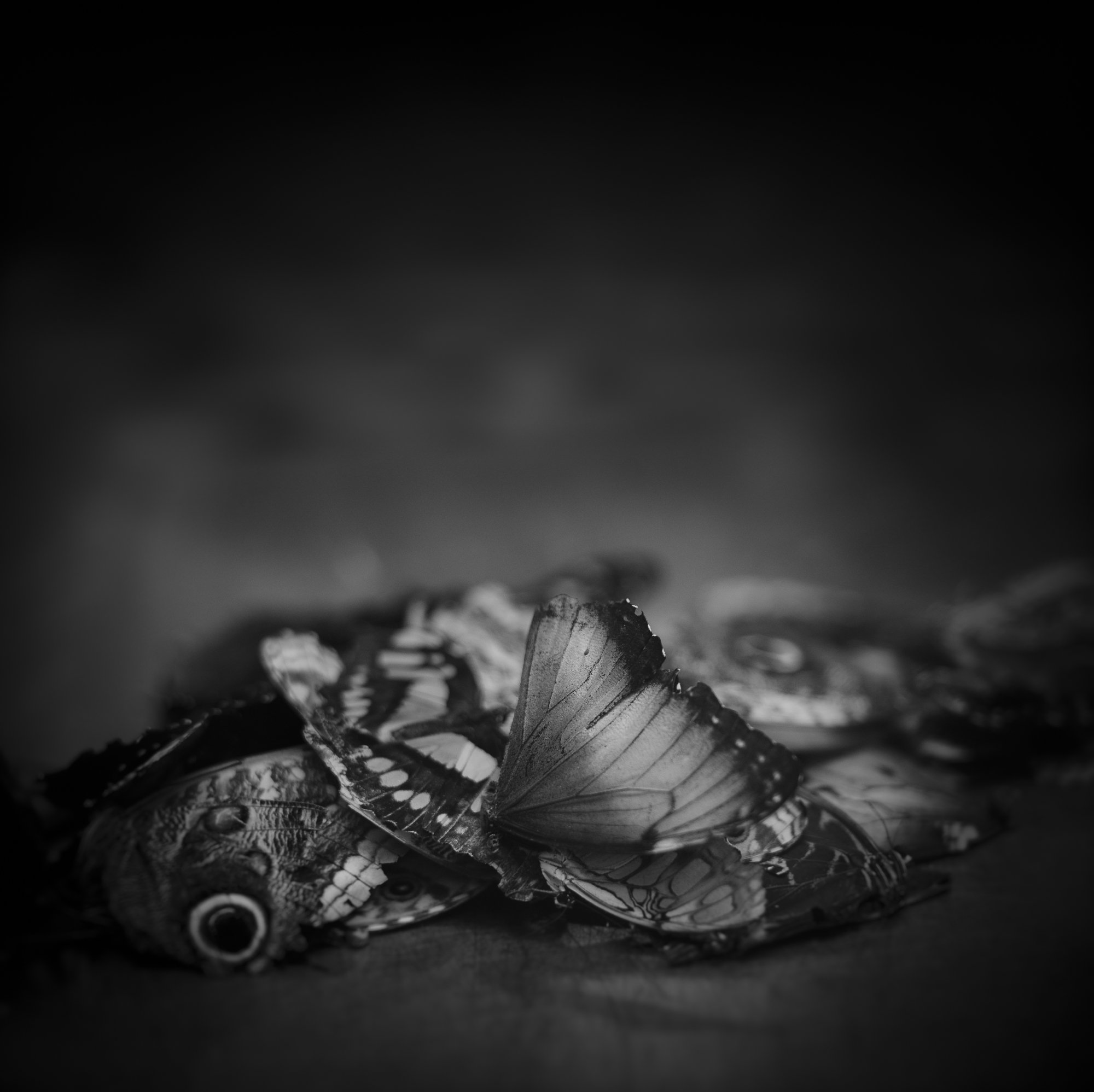 untitled5.jpg