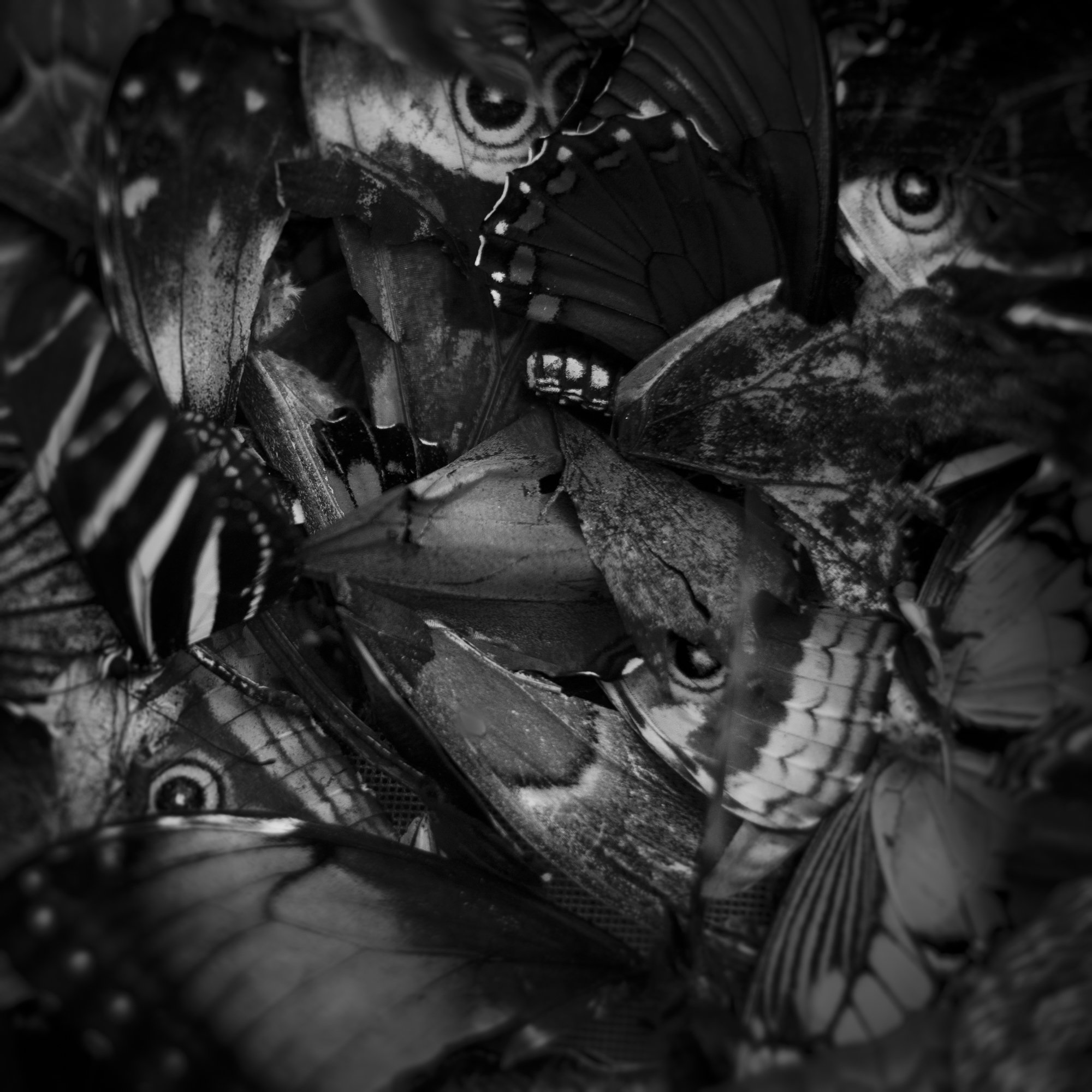 untitled6.jpg