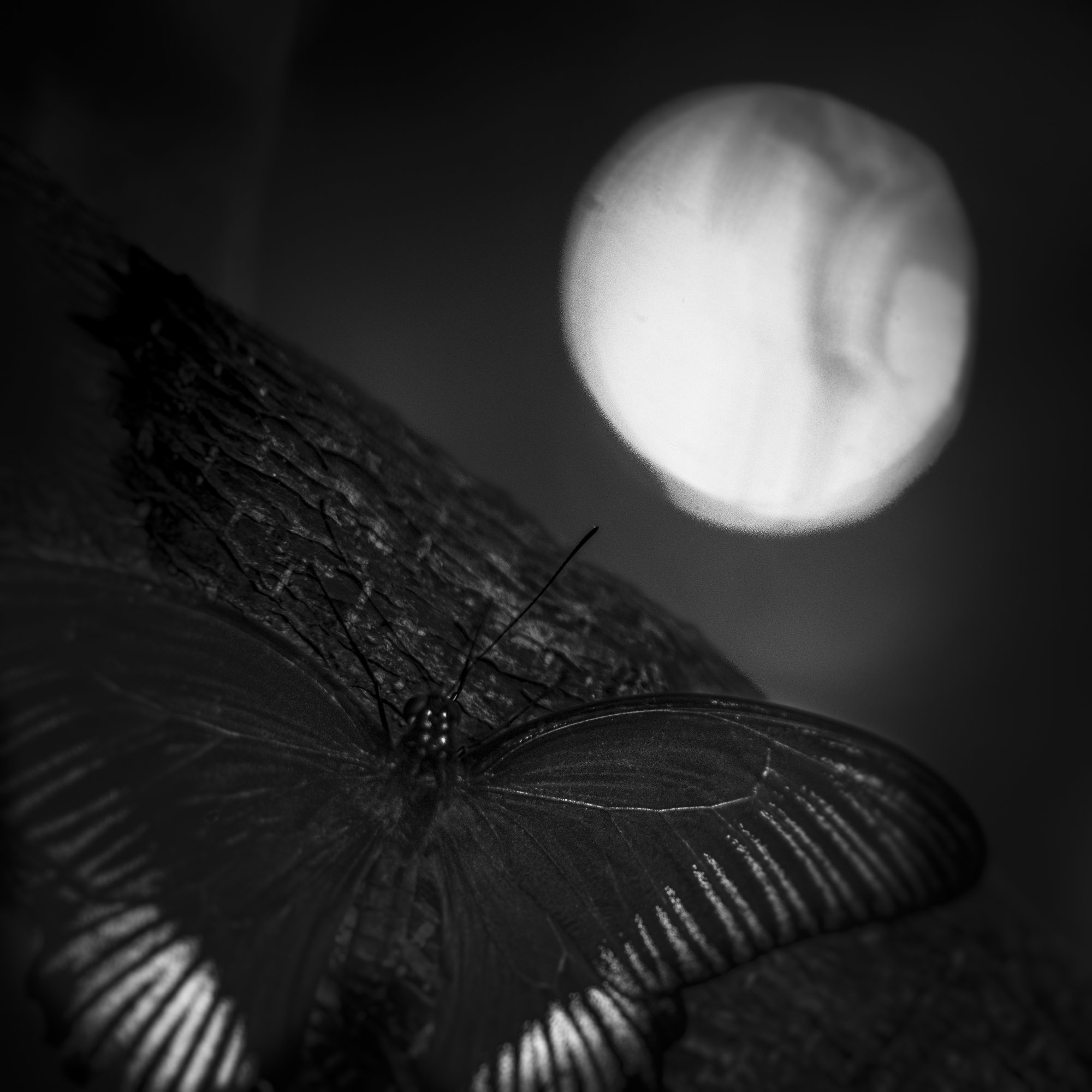 untitled8.jpg