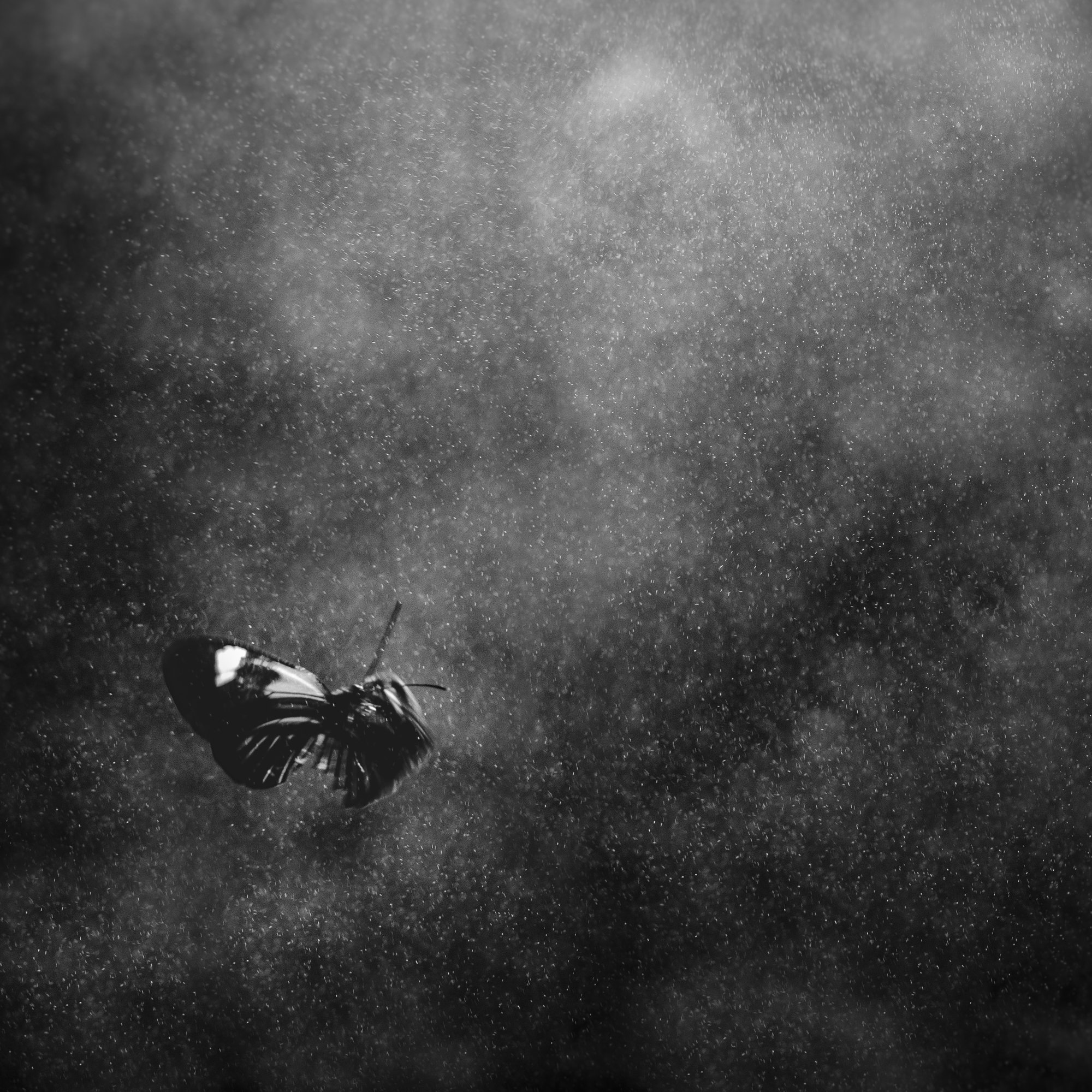 untitled7.jpg
