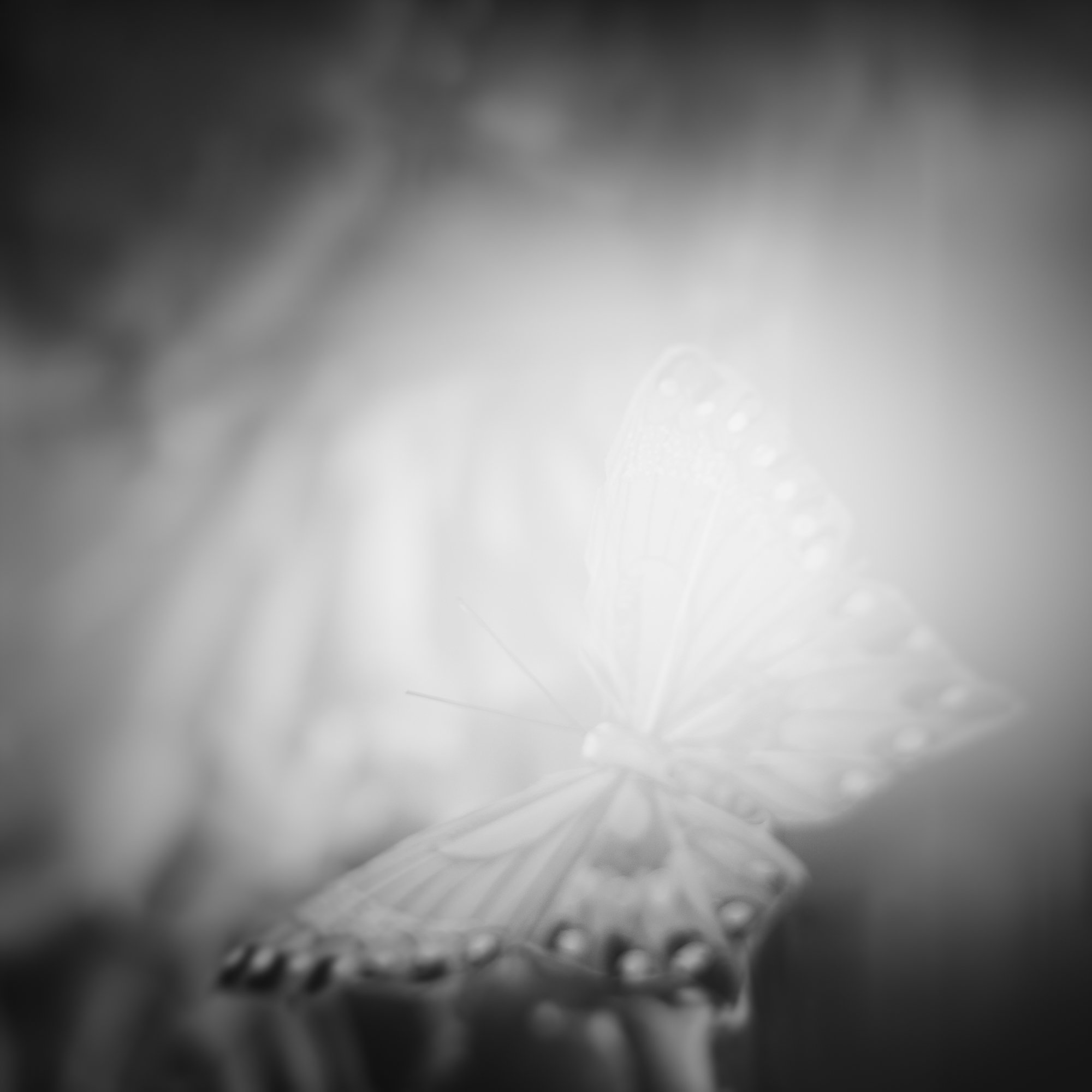 untitled10.jpg