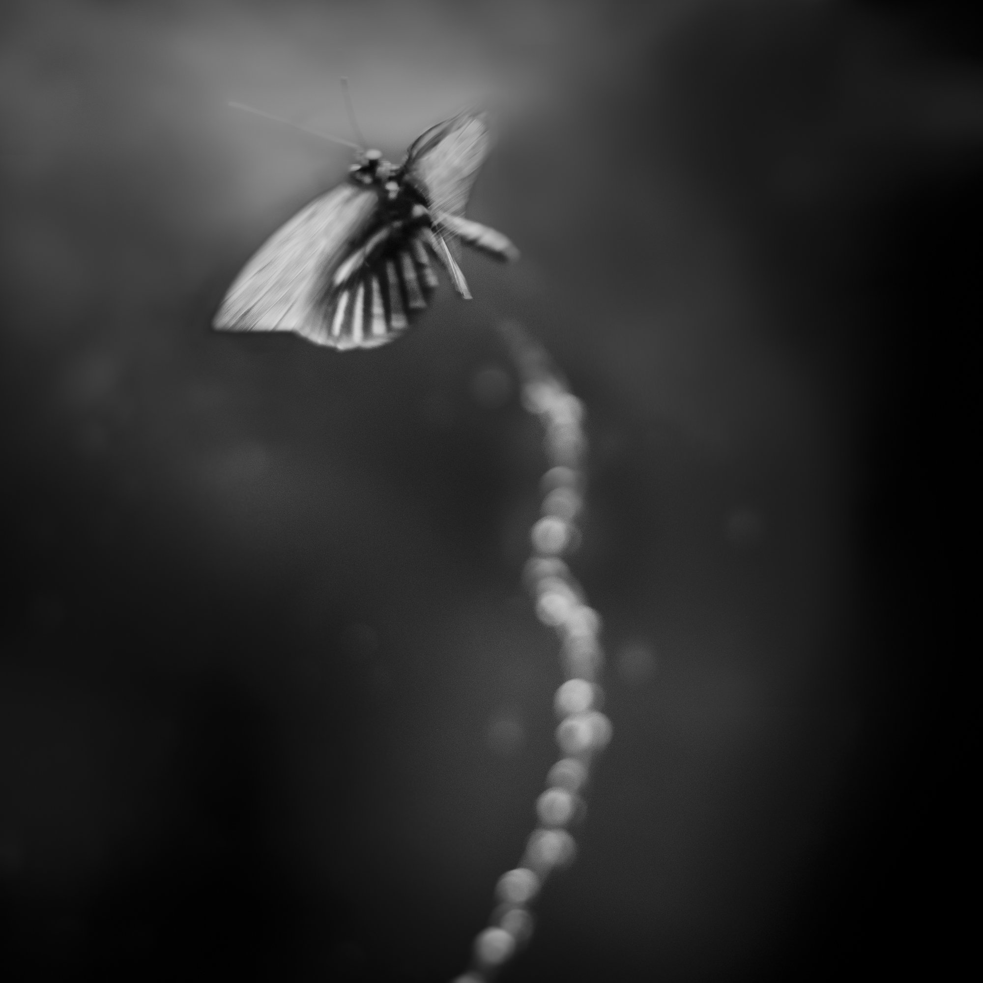 untitled11.jpg