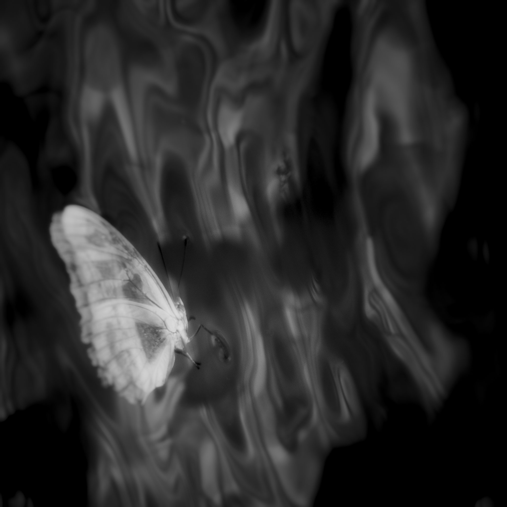 untitled13.jpg