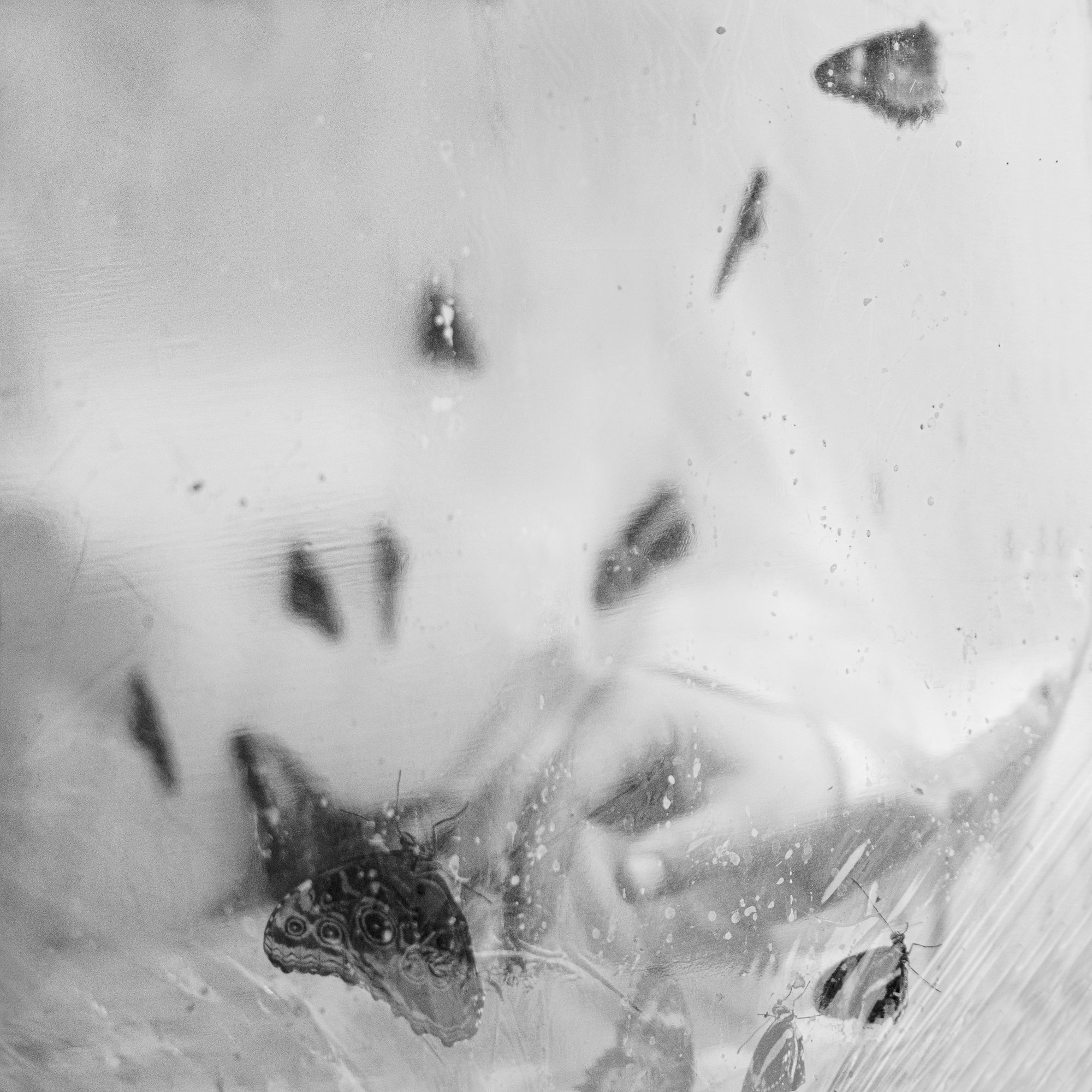 untitled12.jpg