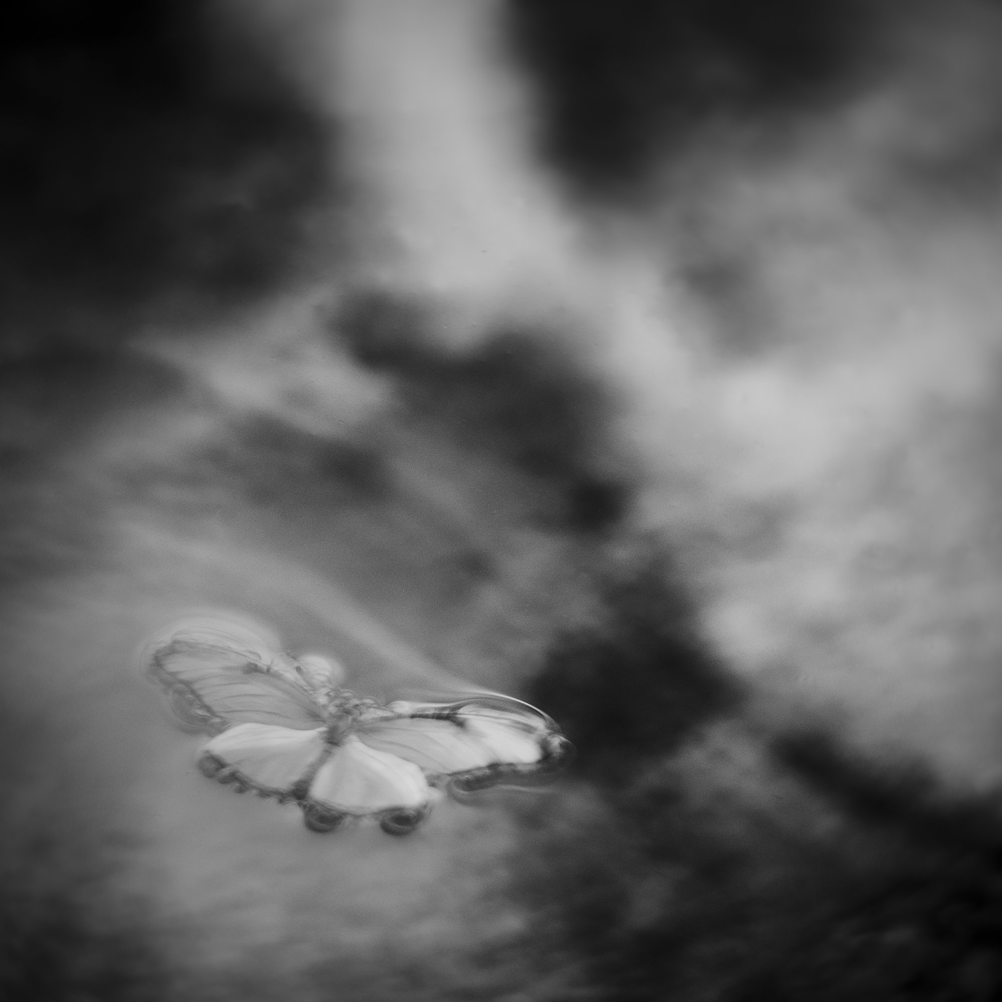 untitled14.jpg