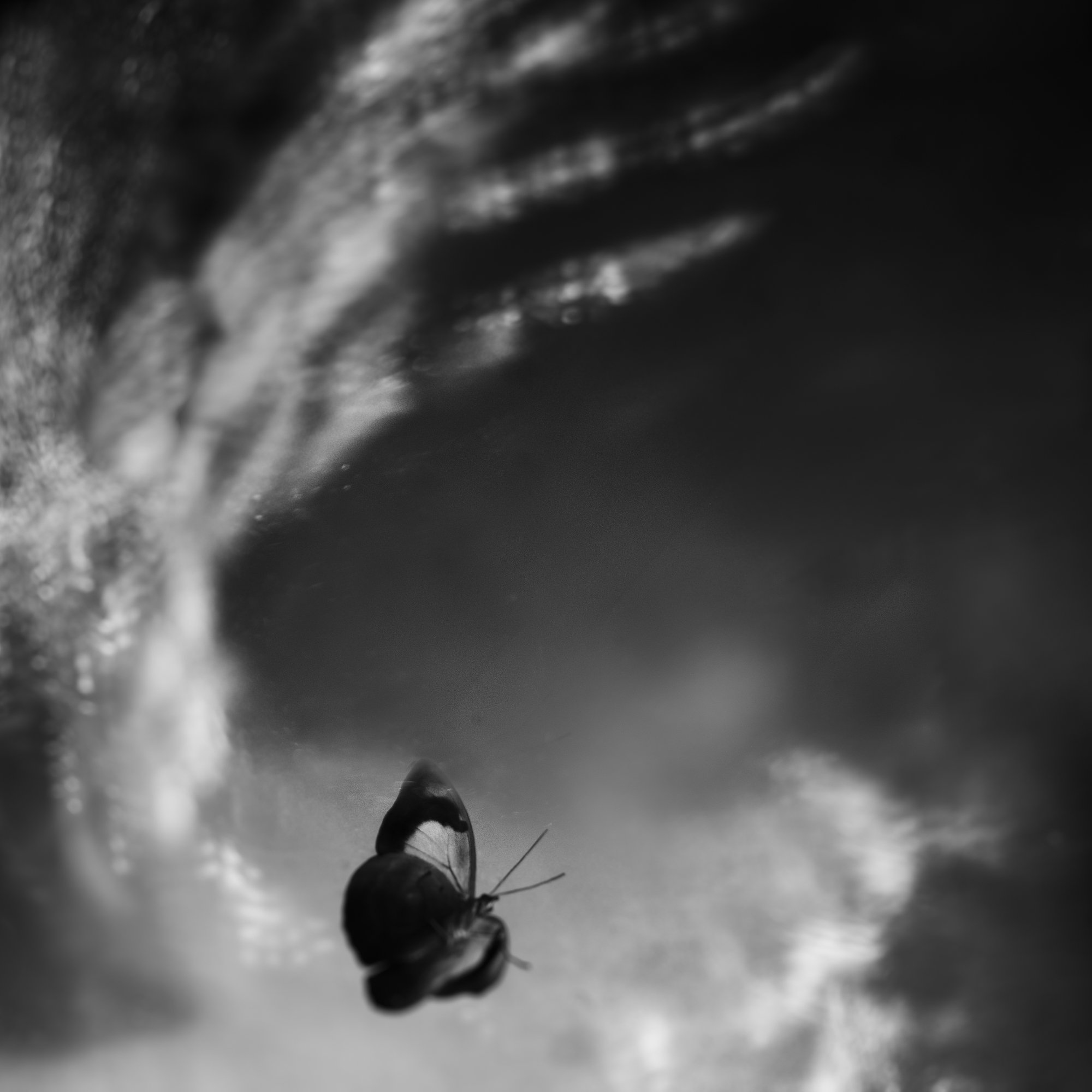 untitled16.jpg