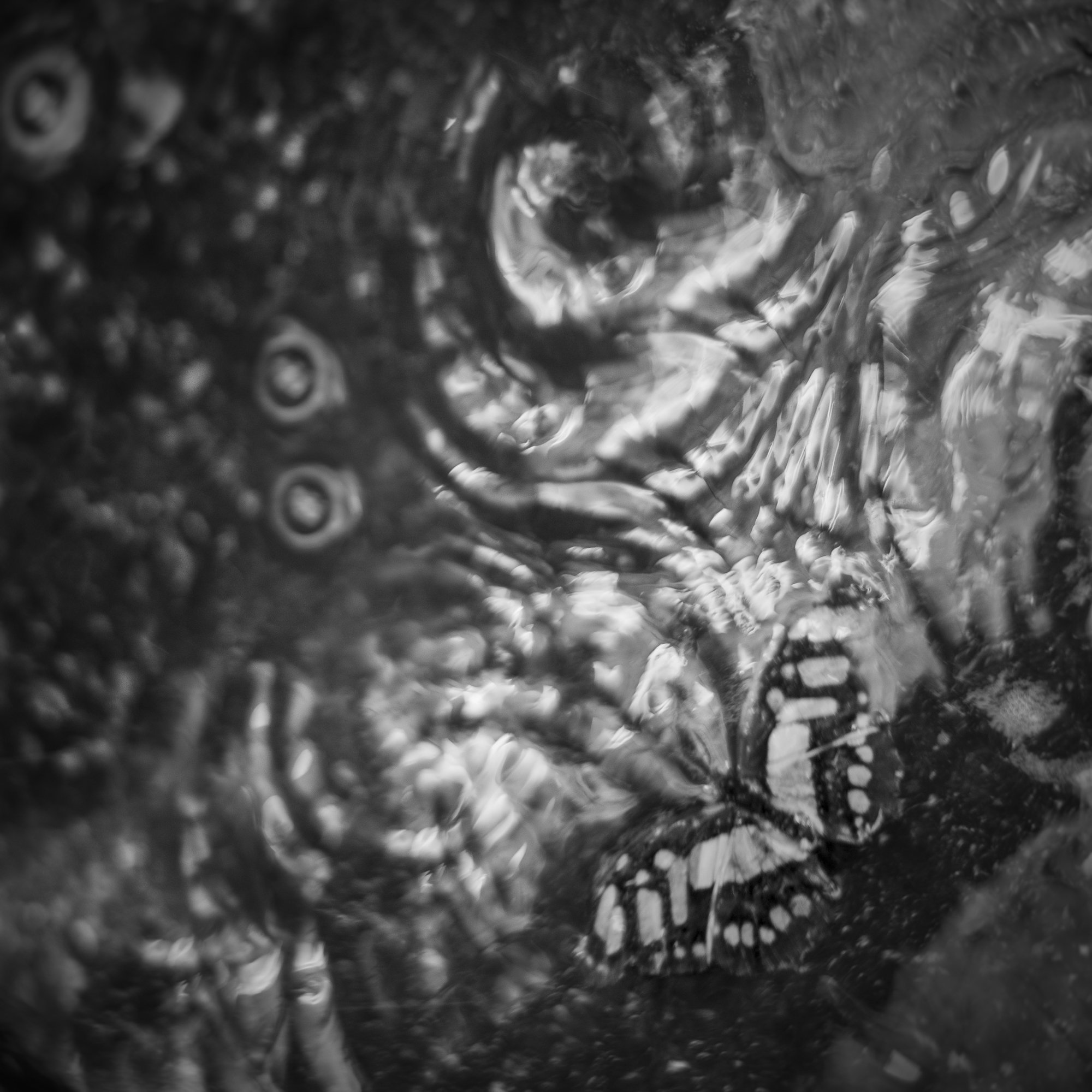 untitled17.jpg