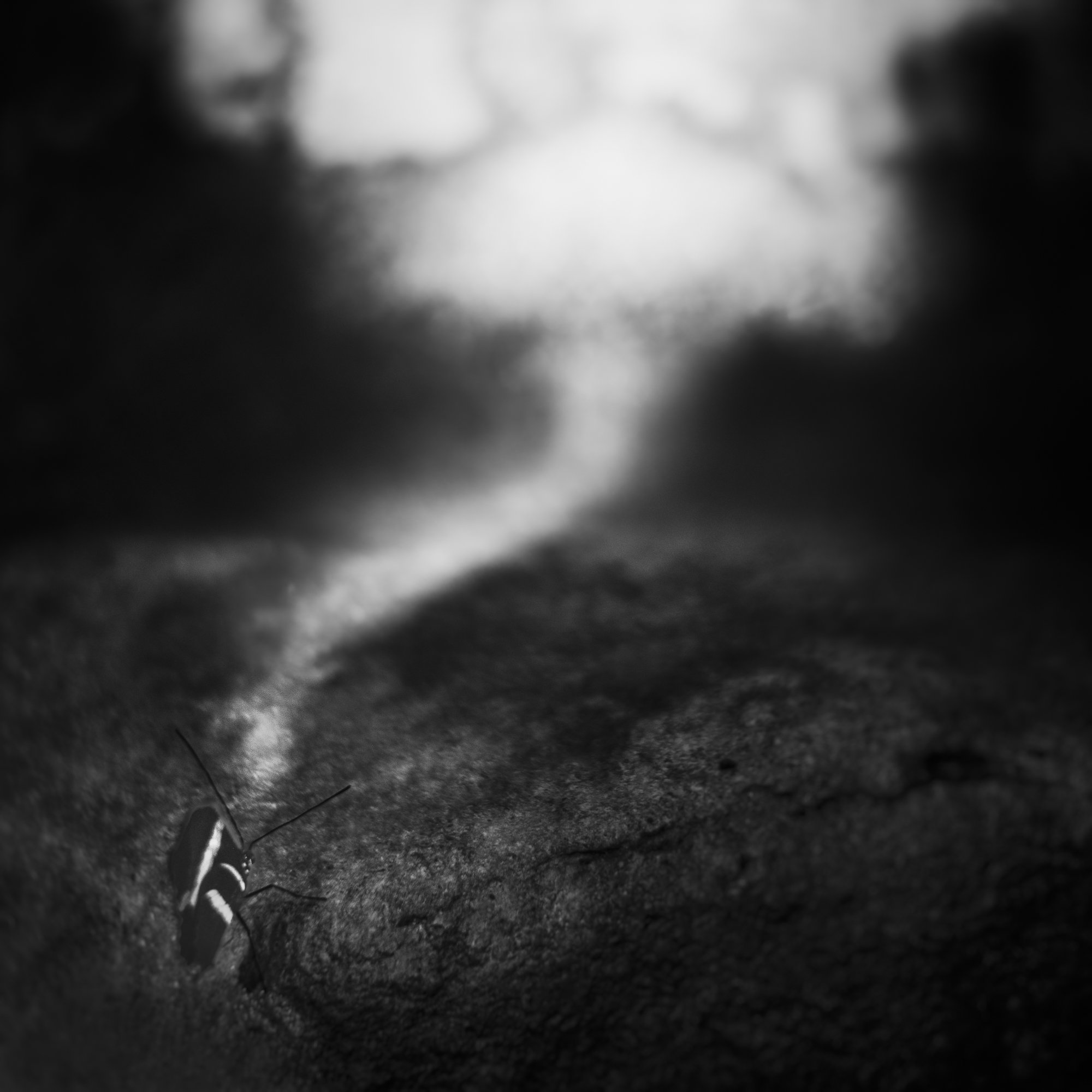 untitled19.jpg