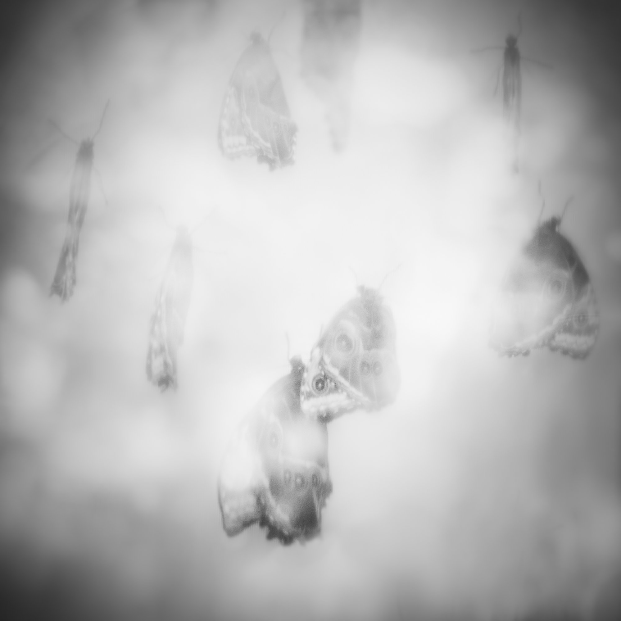 untitled20.jpg