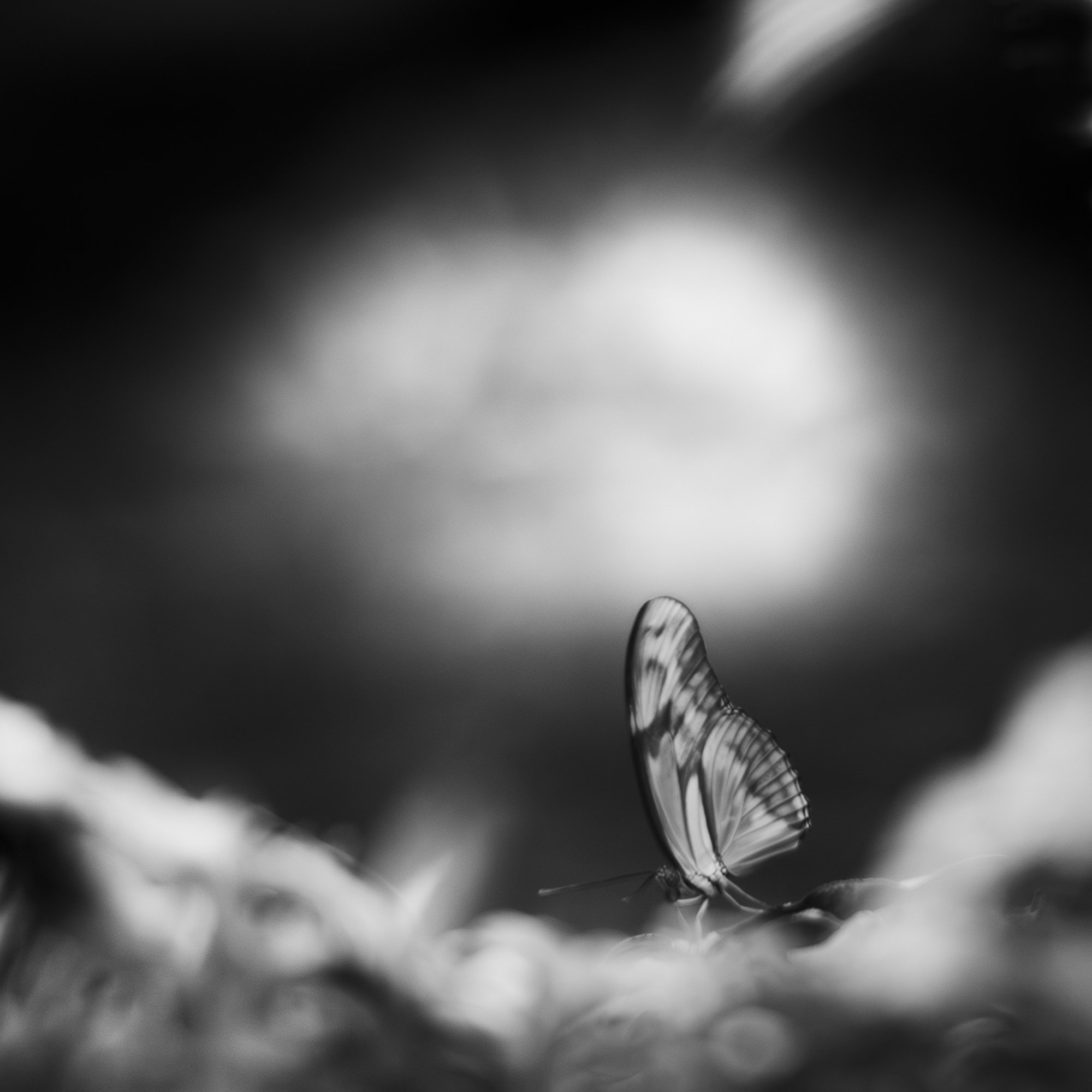 untitled22.jpg