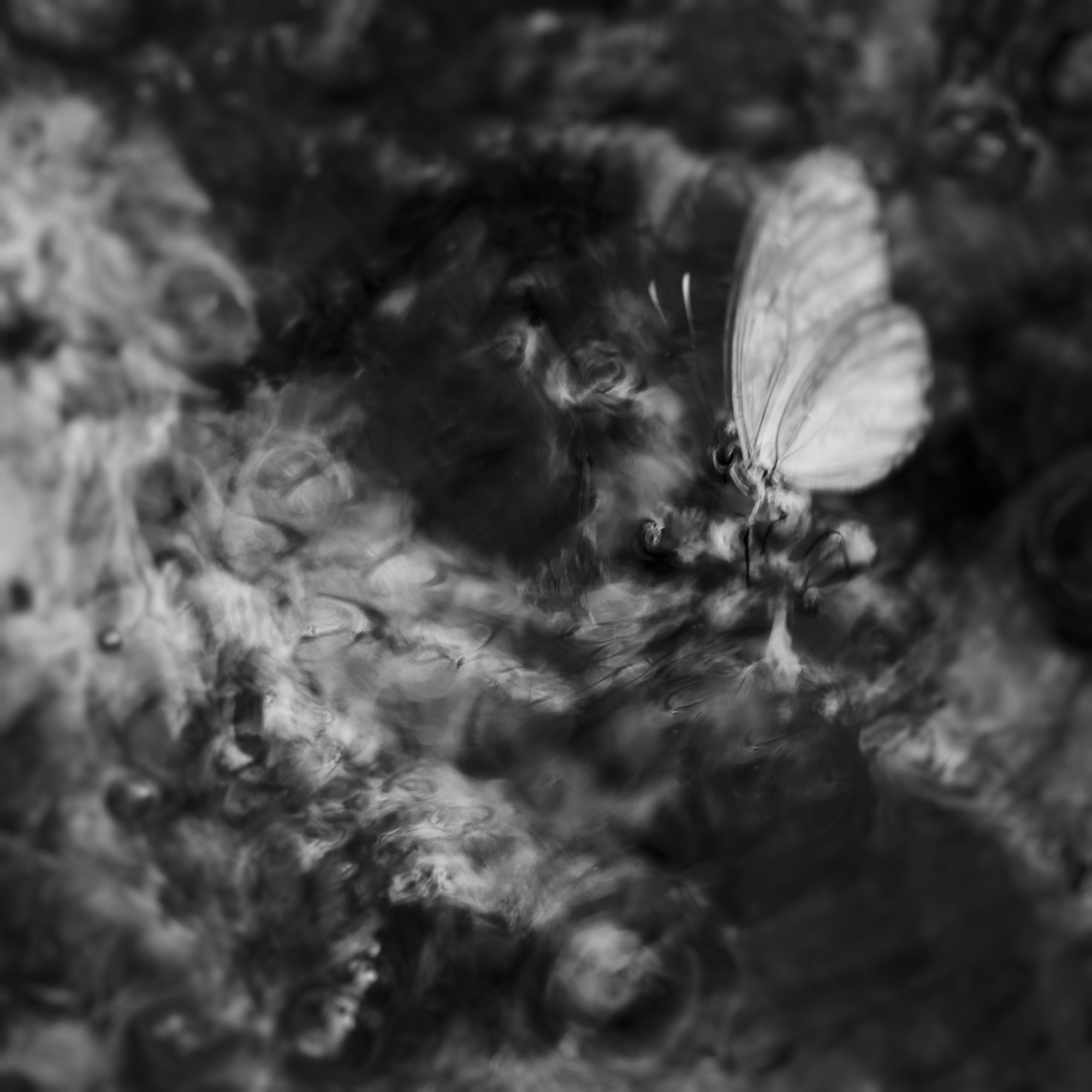 untitled23.jpg