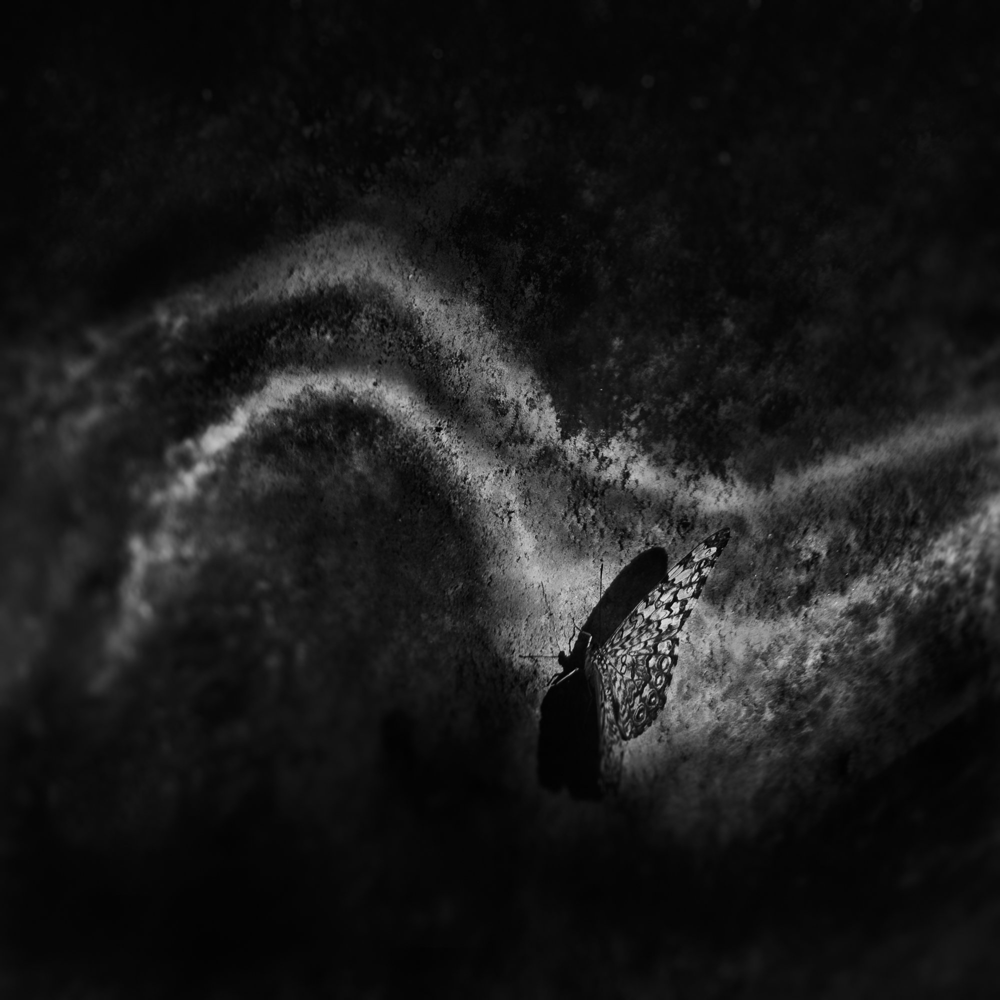 untitled25.jpg